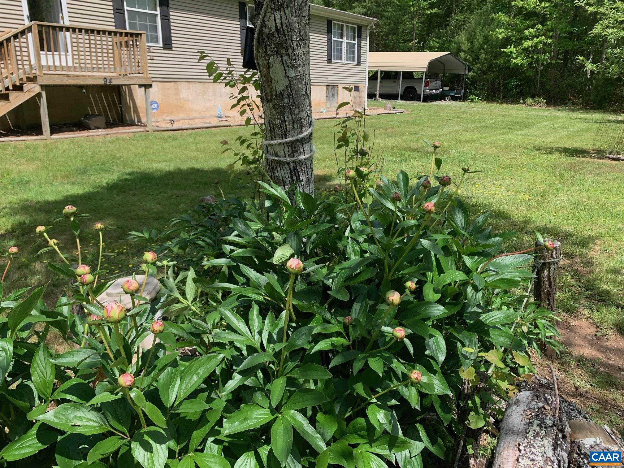 94 DIRE WOLF LN, WEST AUGUSTA, Virginia 24485, 4 Bedrooms Bedrooms, ,2 BathroomsBathrooms,Residential,94 DIRE WOLF LN,681646 MLS # 681646
