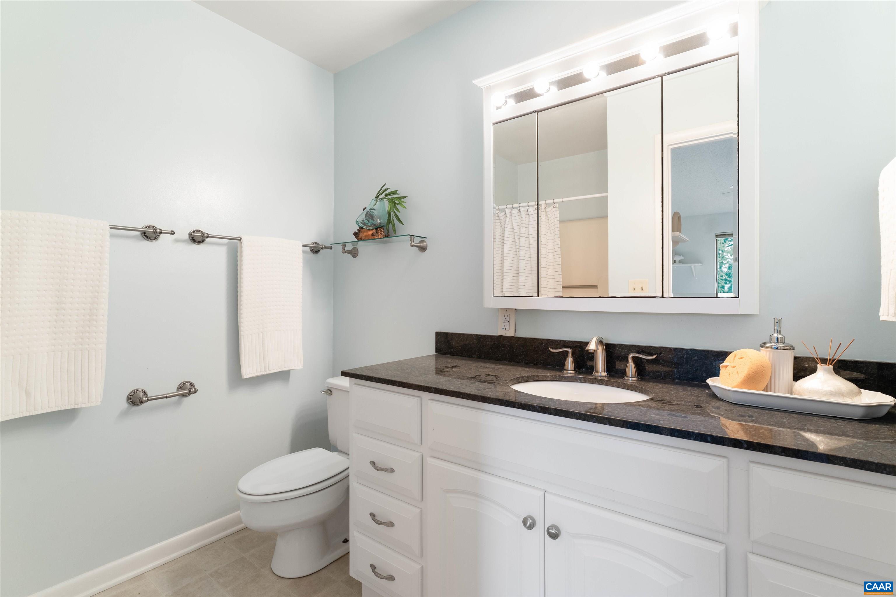 101 TURTLE CREEK LN, CHARLOTTESVILLE, Virginia 22901, 2 Bedrooms Bedrooms, ,2 BathroomsBathrooms,Residential,101 TURTLE CREEK LN,681656 MLS # 681656
