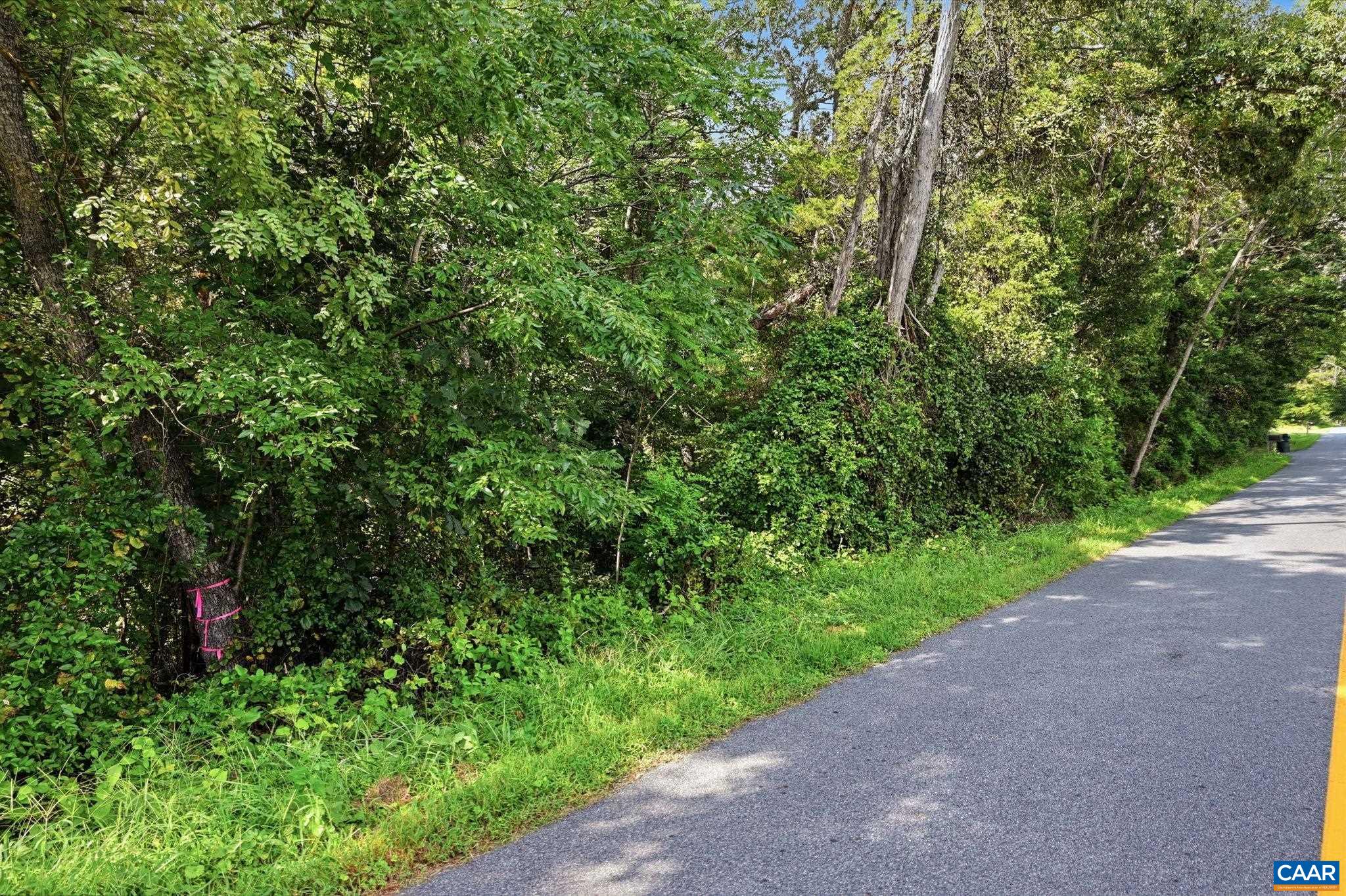 00 DUNNES SHOP RD, RUCKERSVILLE, Virginia 22968, ,Land,Ready to Build!,00 DUNNES SHOP RD,681686 MLS # 681686