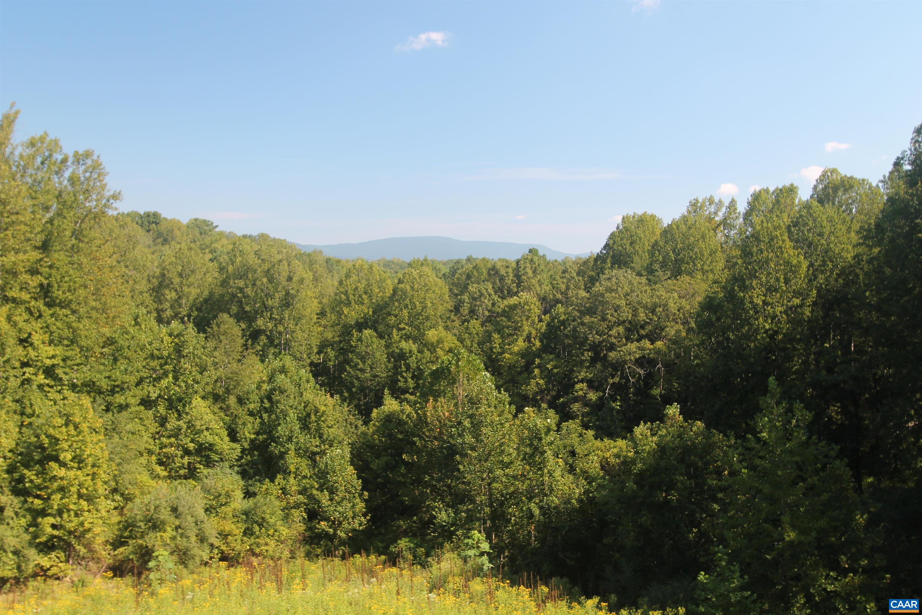 8000 BATESVILLE RD, AFTON, Virginia 22920, 4 Bedrooms Bedrooms, ,3 BathroomsBathrooms,Residential,8000 BATESVILLE RD,681592 MLS # 681592 8000 BATESVILLE RD, AFTON, Virginia 22920, 4 Bedrooms Bedrooms, ,3 BathroomsBathrooms,Residential,8000 BATESVILLE RD,681592 MLS # 681592