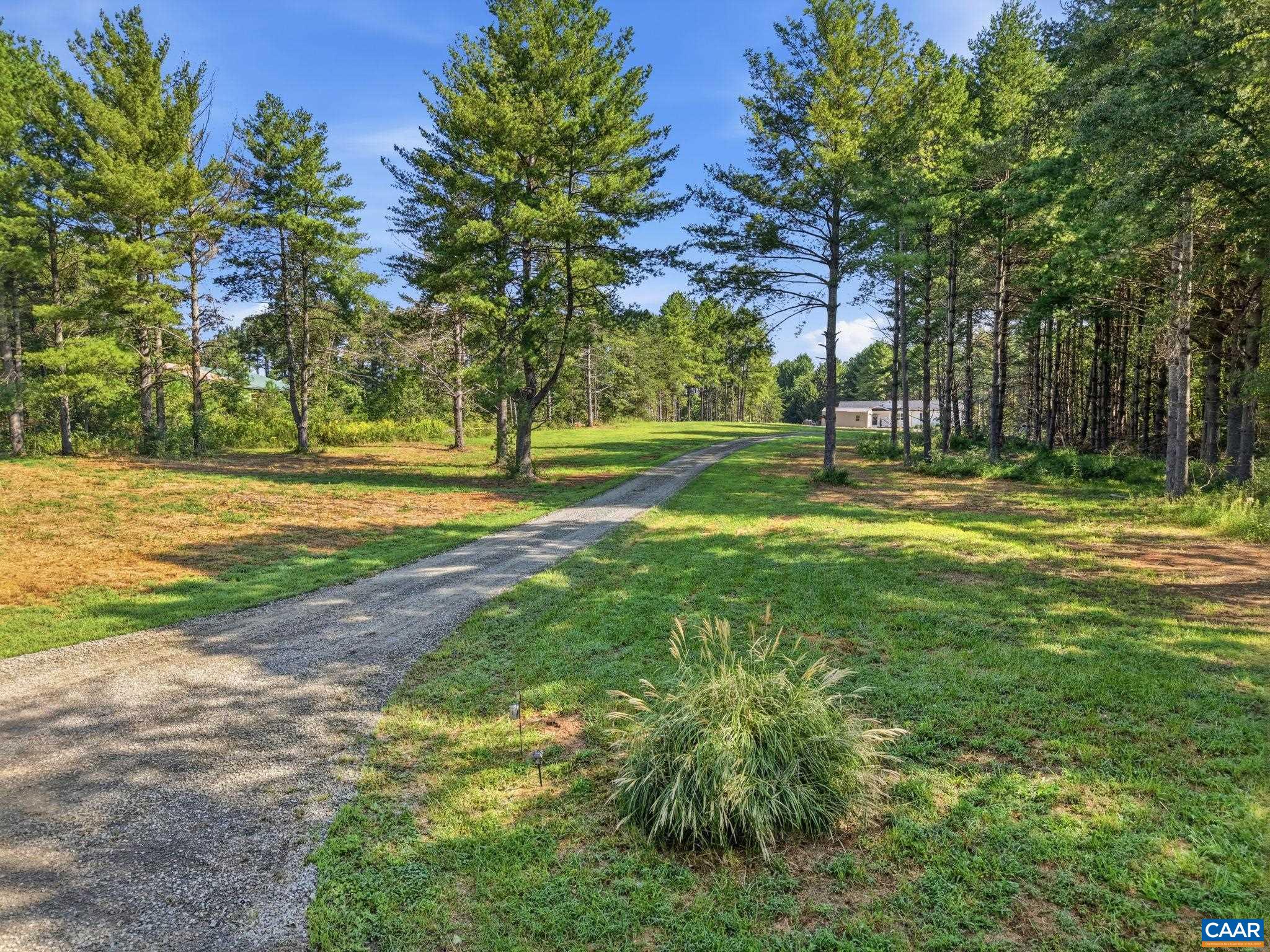 770 COLES ROLLING RD, SCOTTSVILLE, Virginia 24590, 4 Bedrooms Bedrooms, ,2 BathroomsBathrooms,Residential,770 COLES ROLLING RD,681638 MLS # 681638 770 COLES ROLLING RD, SCOTTSVILLE, Virginia 24590, 4 Bedrooms Bedrooms, ,2 BathroomsBathrooms,Residential,770 COLES ROLLING RD,681638 MLS # 681638