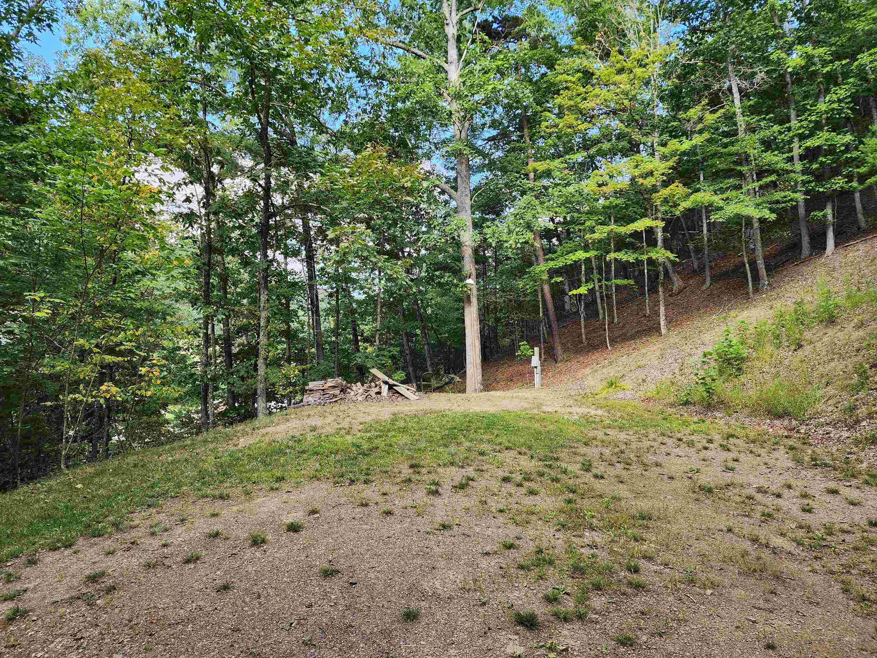 15847 HIGHLAND TPKE, HEAD WATERS, Virginia 24442, 2 Bedrooms Bedrooms, ,Residential,15847 HIGHLAND TPKE,681704 MLS # 681704 15847 HIGHLAND TPKE, HEAD WATERS, Virginia 24442, 2 Bedrooms Bedrooms, ,Residential,15847 HIGHLAND TPKE,681704 MLS # 681704