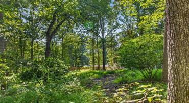 360 SWIFT RUN RD, RUCKERSVILLE, Virginia 22968, ,Land,360 SWIFT RUN RD,681682 MLS # 681682