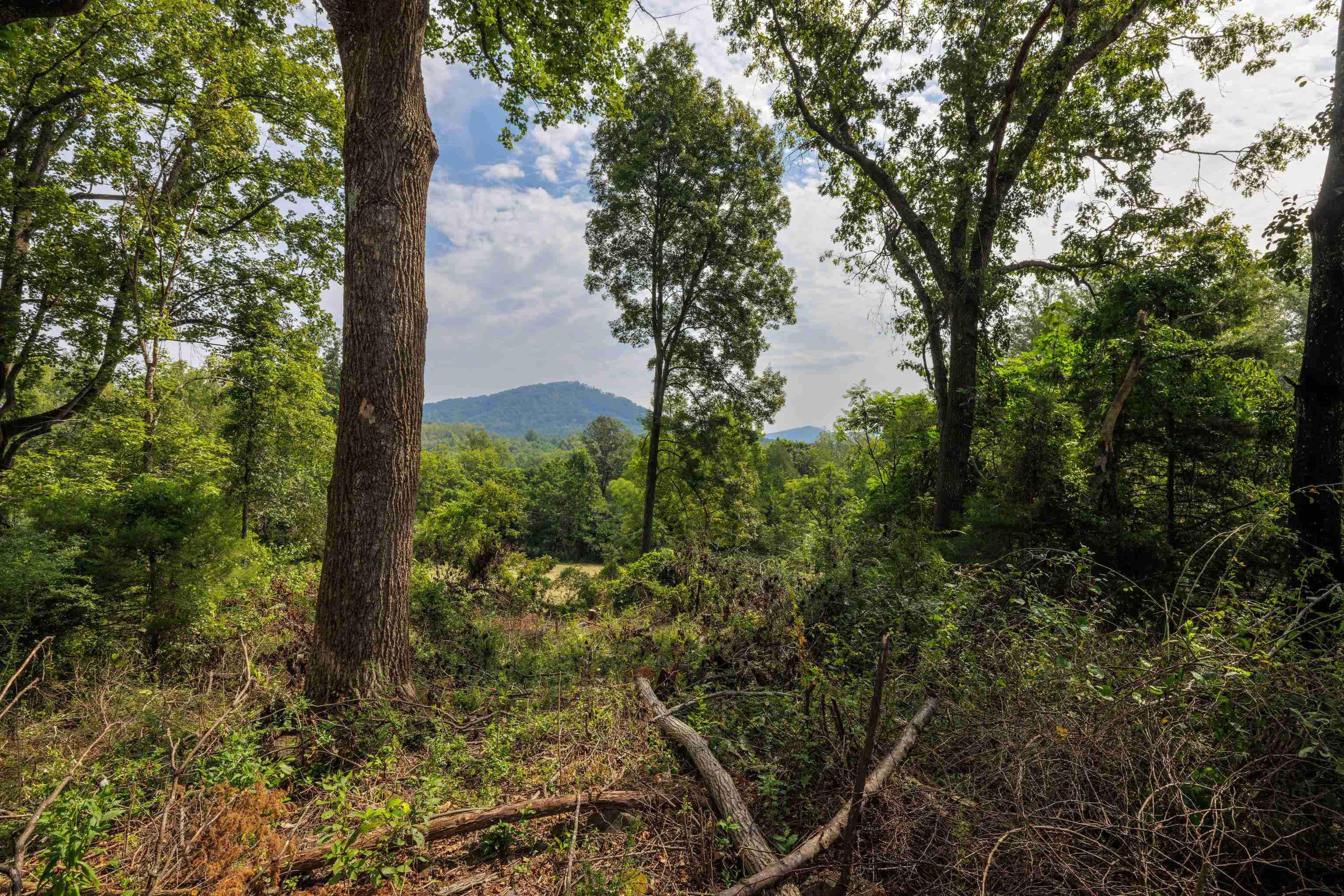 TBD POUNDING BRANCH RD, AFTON, Virginia 22920, ,Land,TBD POUNDING BRANCH RD,681833 MLS # 681833