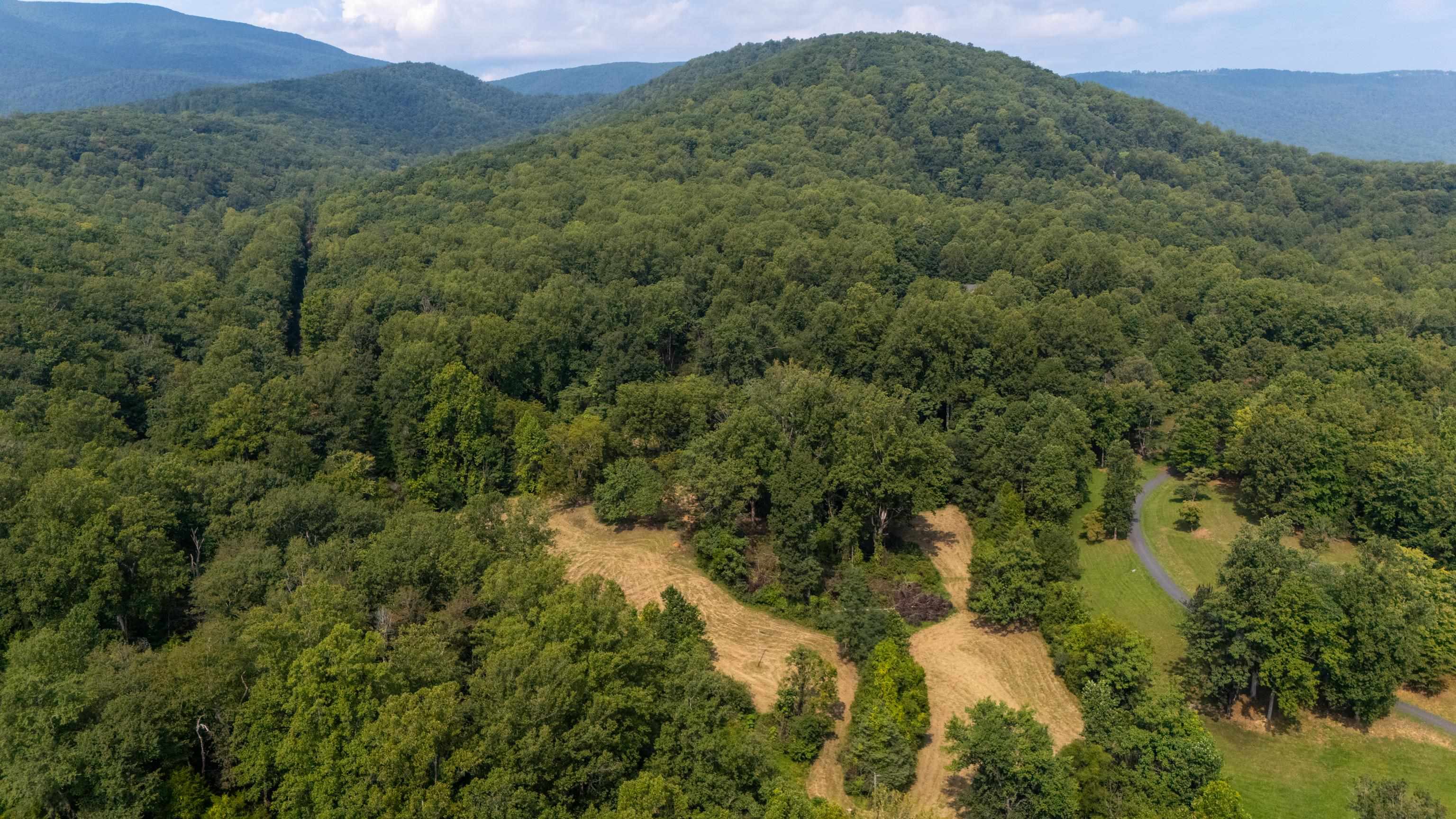 TBD POUNDING BRANCH RD, AFTON, Virginia 22920, ,Land,TBD POUNDING BRANCH RD,681833 MLS # 681833 TBD POUNDING BRANCH RD, AFTON, Virginia 22920, ,Land,TBD POUNDING BRANCH RD,681833 MLS # 681833