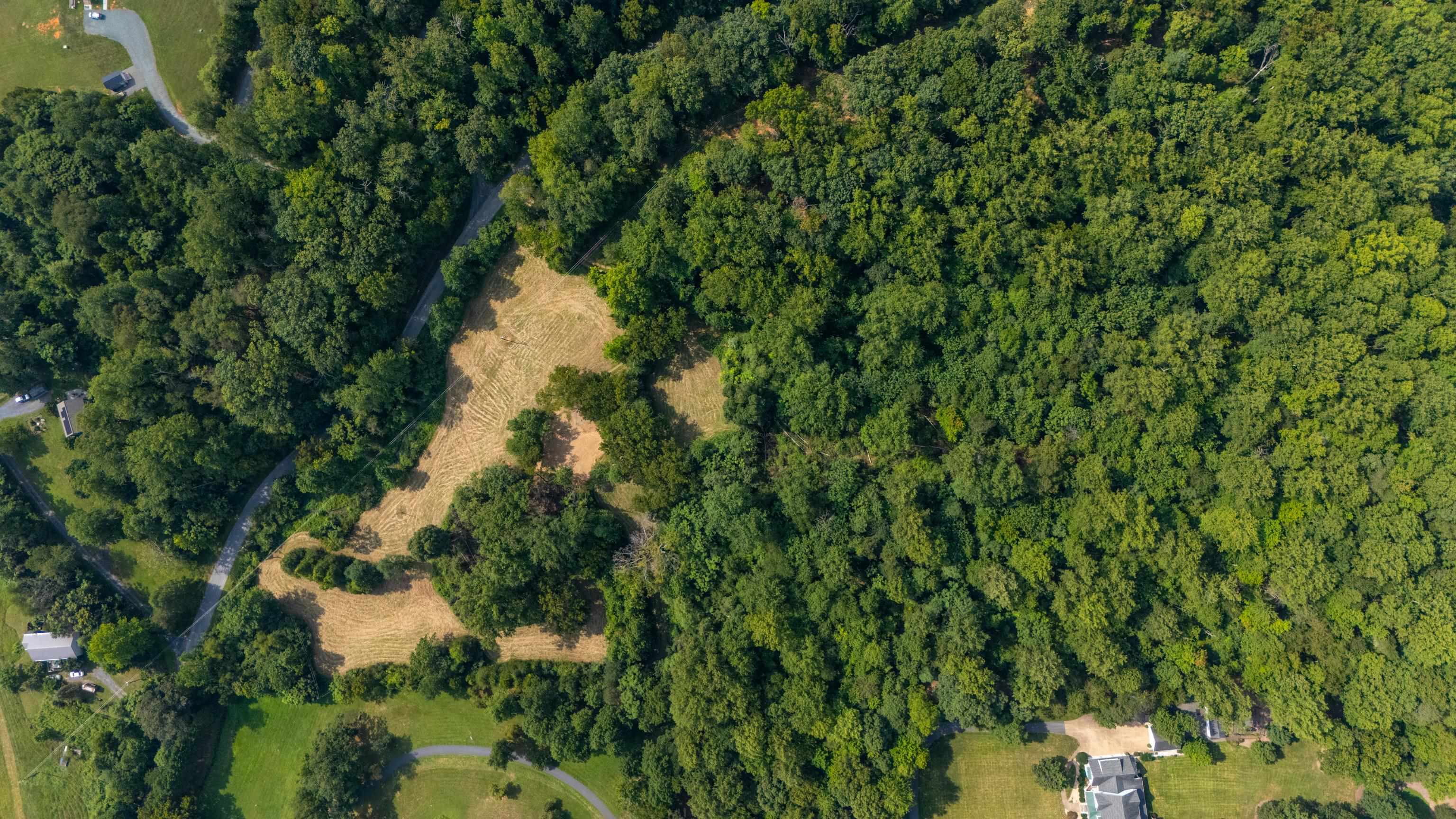 TBD POUNDING BRANCH RD, AFTON, Virginia 22920, ,Land,TBD POUNDING BRANCH RD,681833 MLS # 681833 TBD POUNDING BRANCH RD, AFTON, Virginia 22920, ,Land,TBD POUNDING BRANCH RD,681833 MLS # 681833