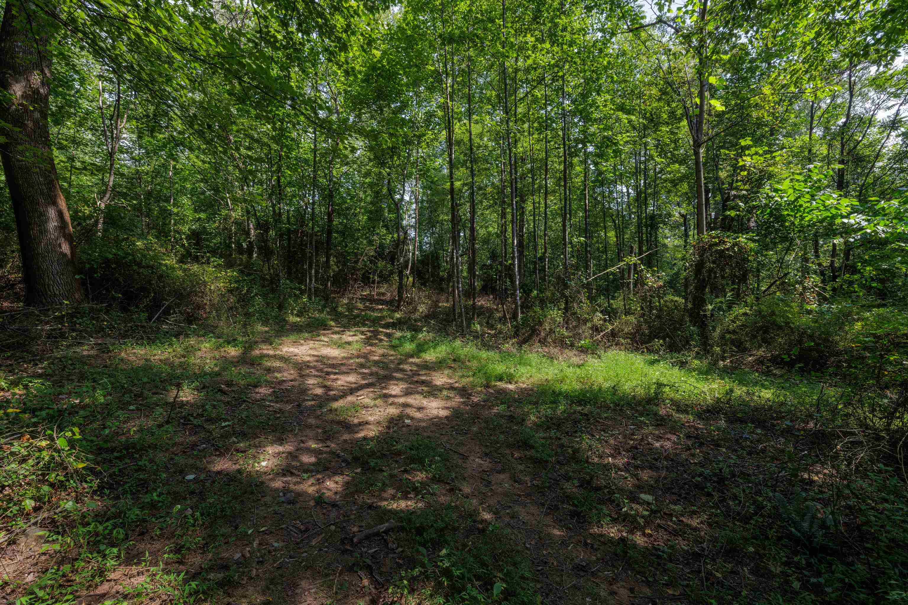 TBD POUNDING BRANCH RD, AFTON, Virginia 22920, ,Land,TBD POUNDING BRANCH RD,681833 MLS # 681833 TBD POUNDING BRANCH RD, AFTON, Virginia 22920, ,Land,TBD POUNDING BRANCH RD,681833 MLS # 681833