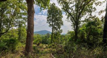 TBD POUNDING BRANCH RD, AFTON, Virginia 22920, ,Land,TBD POUNDING BRANCH RD,681833 MLS # 681833