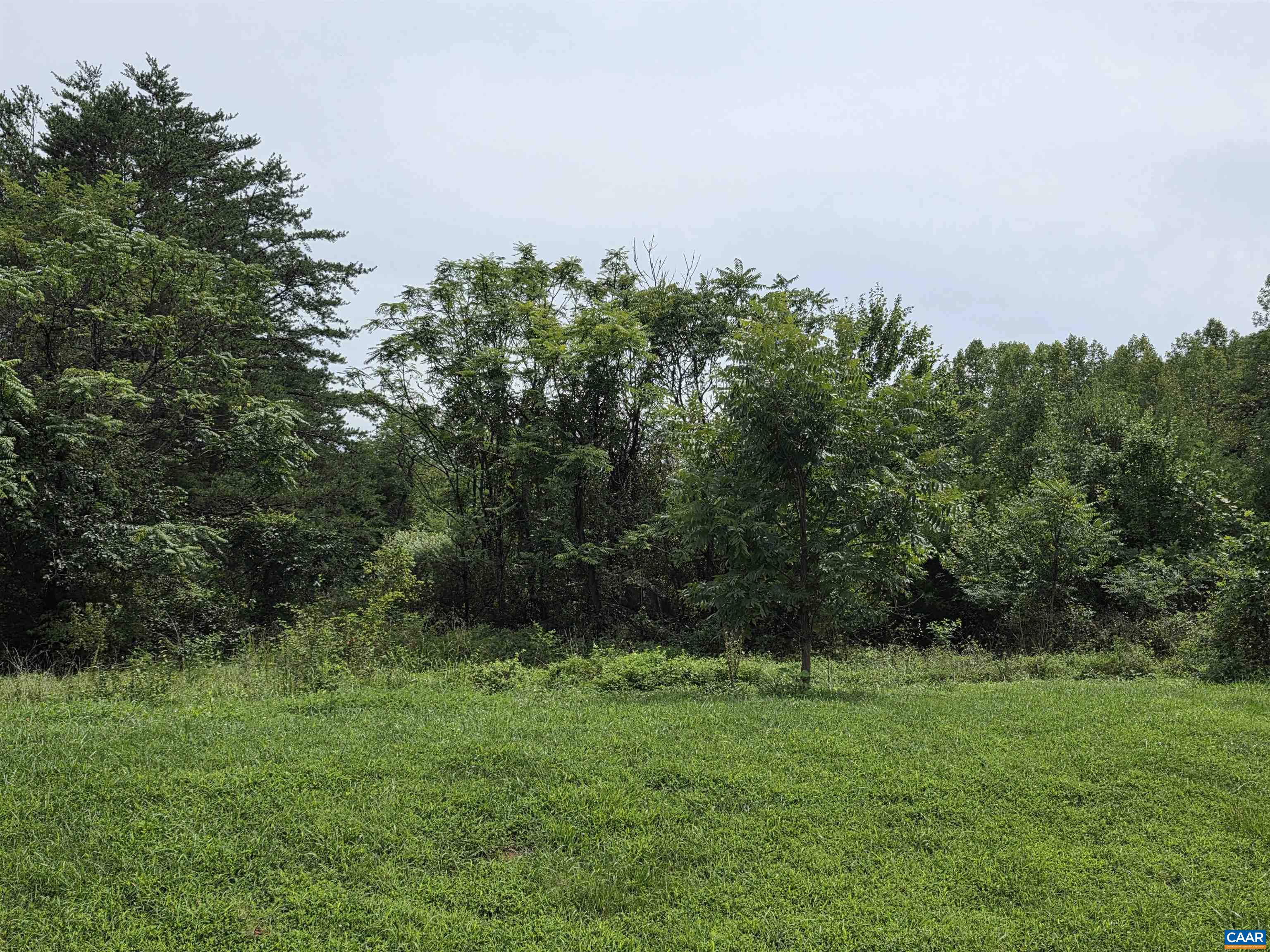 lot 14 BARTHOLOMEW PL, STANARDSVILLE, Virginia 22973, ,Land,lot 14 BARTHOLOMEW PL,681836 MLS # 681836 lot 14 BARTHOLOMEW PL, STANARDSVILLE, Virginia 22973, ,Land,lot 14 BARTHOLOMEW PL,681836 MLS # 681836