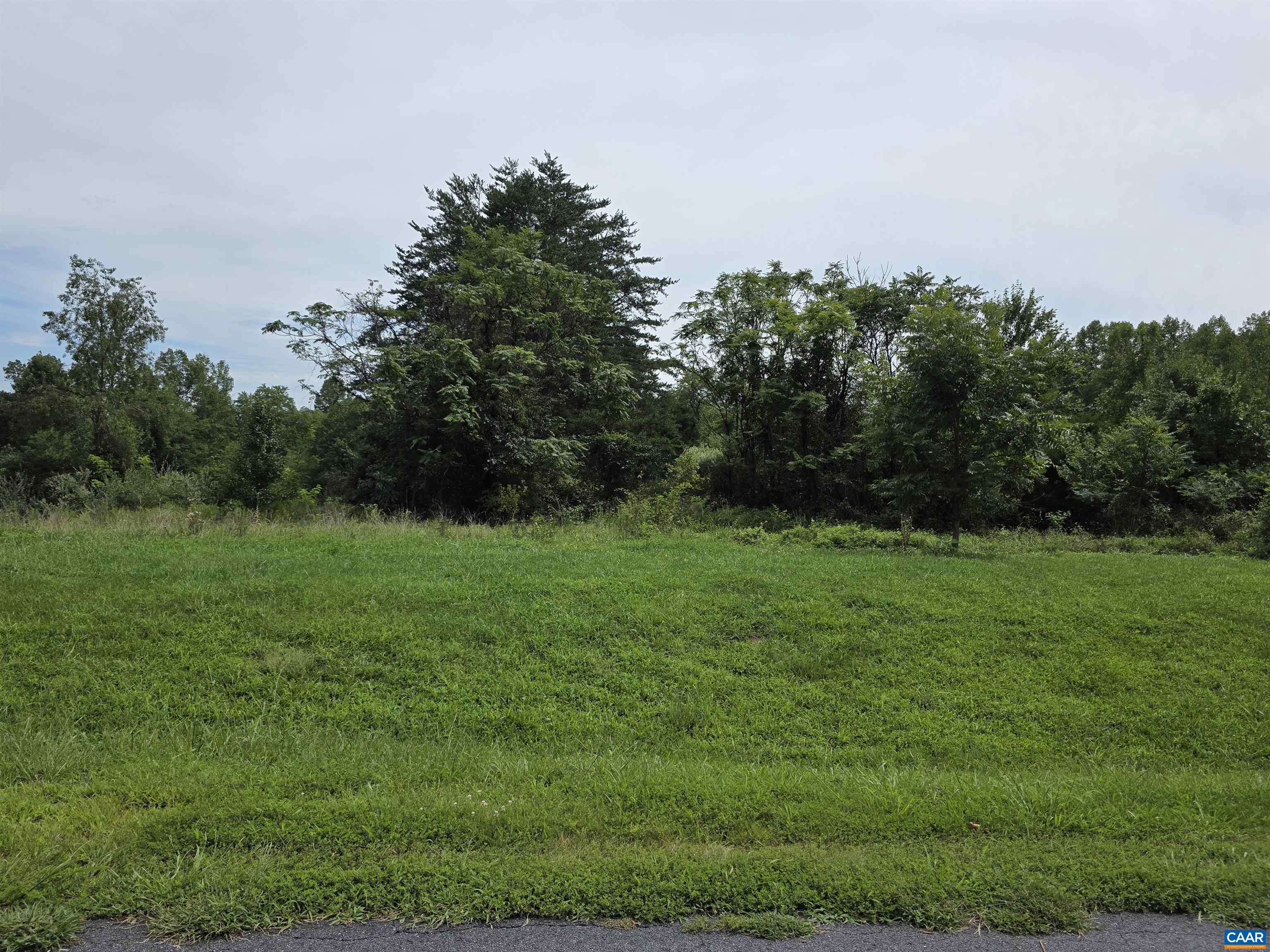 lot 14 BARTHOLOMEW PL, STANARDSVILLE, Virginia 22973, ,Land,lot 14 BARTHOLOMEW PL,681836 MLS # 681836 lot 14 BARTHOLOMEW PL, STANARDSVILLE, Virginia 22973, ,Land,lot 14 BARTHOLOMEW PL,681836 MLS # 681836