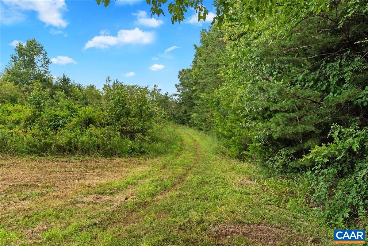 610 LOCKETT RD, RICE, Virginia 23966, 7 Bedrooms Bedrooms, ,5 BathroomsBathrooms,Residential,610 LOCKETT RD,681842 MLS # 681842