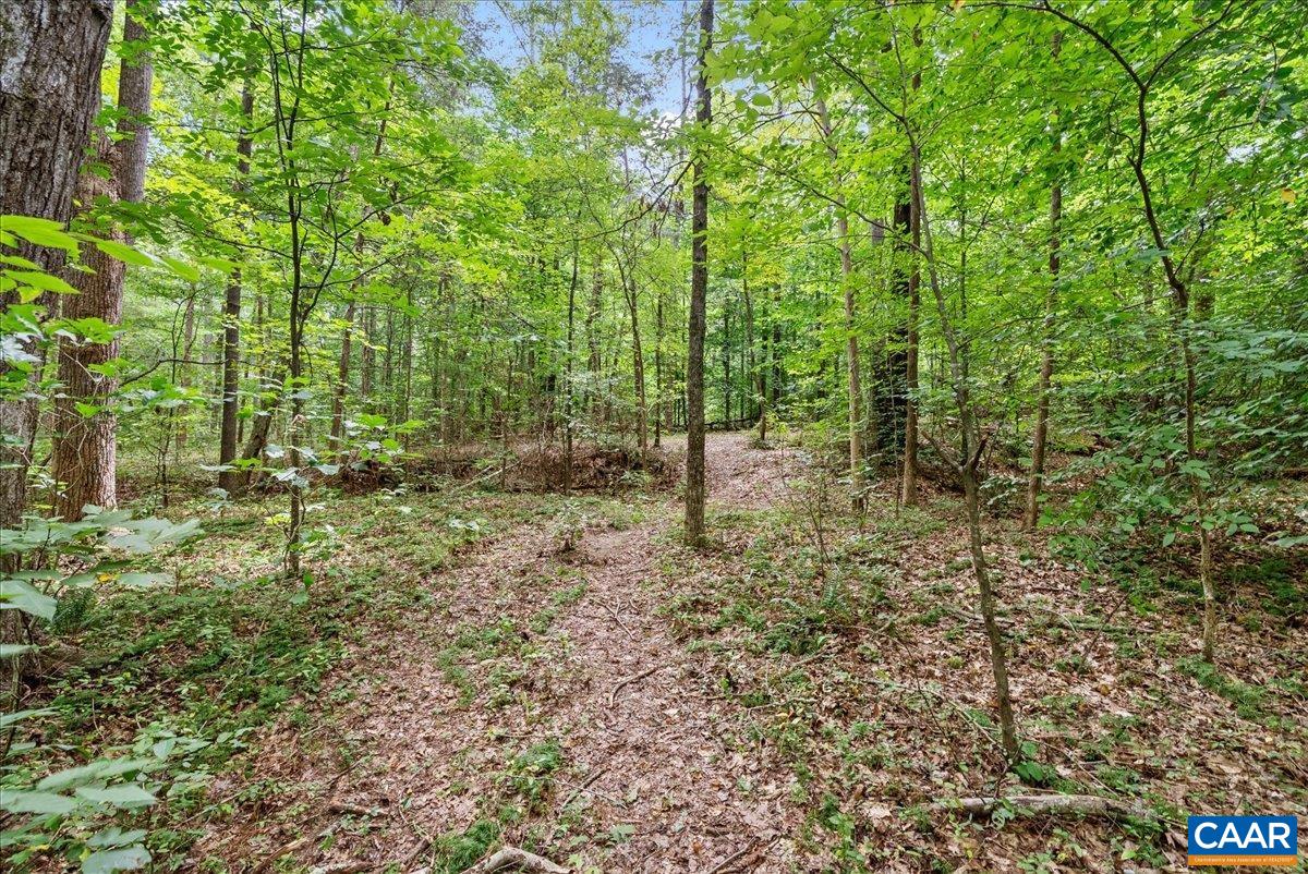 610 LOCKETT RD, RICE, Virginia 23966, 7 Bedrooms Bedrooms, ,5 BathroomsBathrooms,Residential,610 LOCKETT RD,681842 MLS # 681842