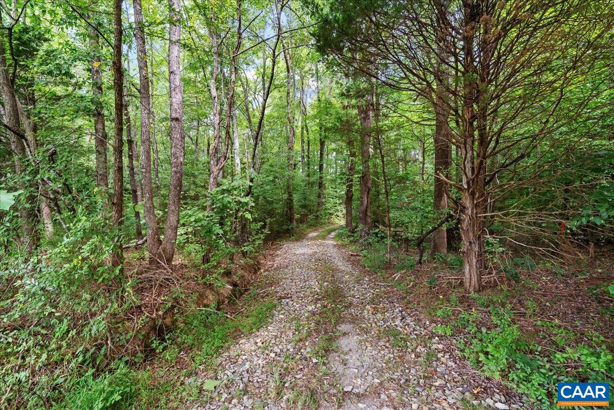 610 LOCKETT RD, RICE, Virginia 23966, 7 Bedrooms Bedrooms, ,5 BathroomsBathrooms,Residential,610 LOCKETT RD,681842 MLS # 681842