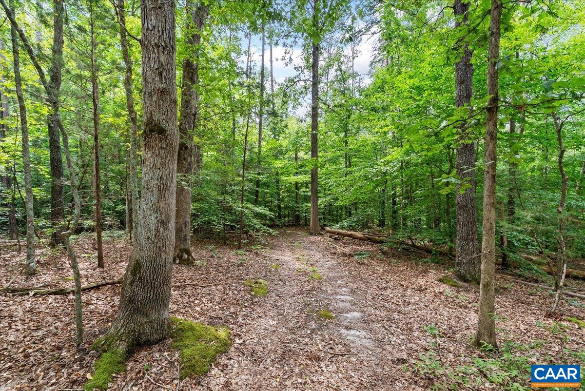 610 LOCKETT RD, RICE, Virginia 23966, 7 Bedrooms Bedrooms, ,5 BathroomsBathrooms,Residential,610 LOCKETT RD,681842 MLS # 681842