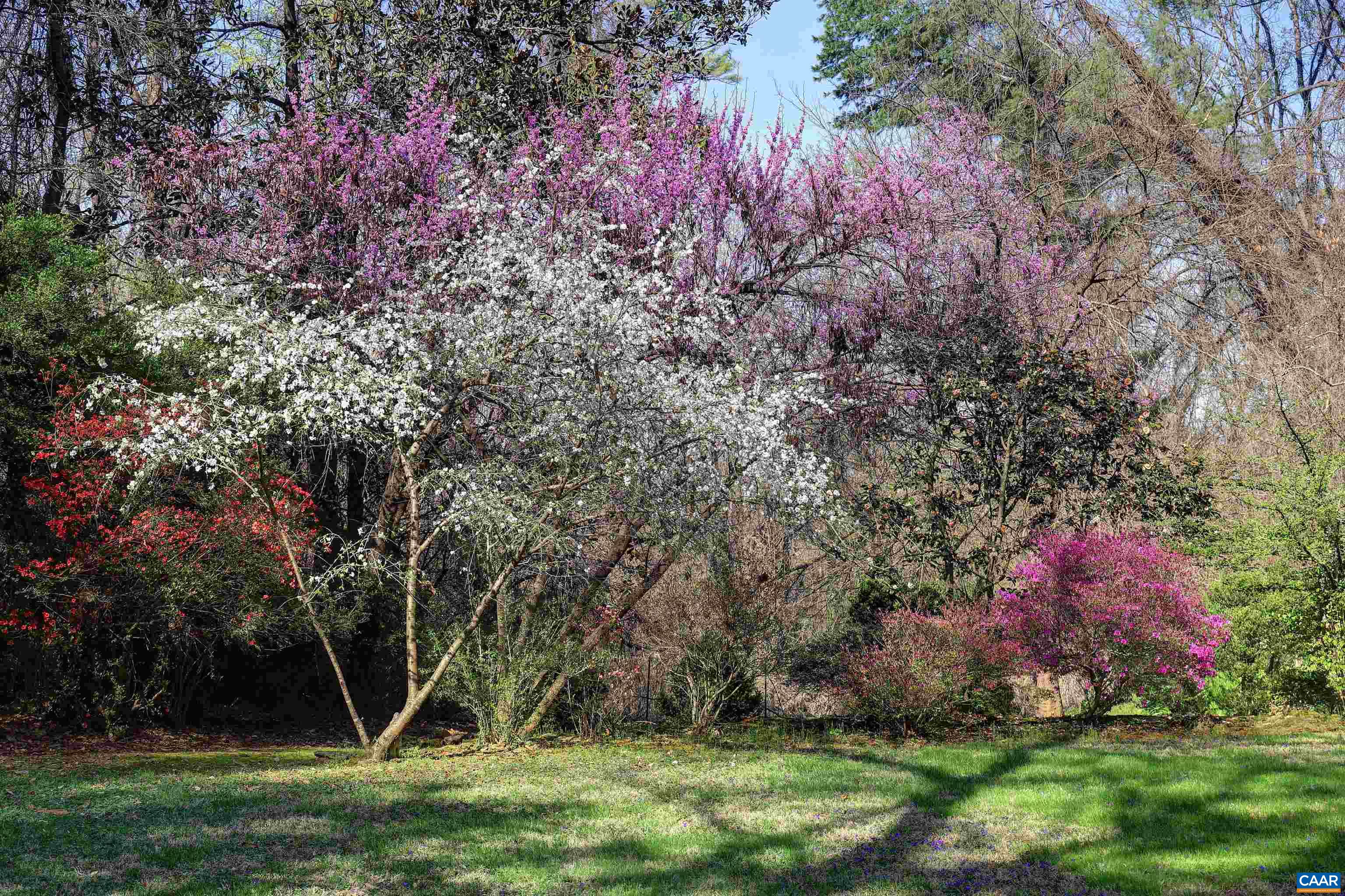 23 OLD FARM RD, CHARLOTTESVILLE, Virginia 22903, 5 Bedrooms Bedrooms, ,4 BathroomsBathrooms,Residential,23 OLD FARM RD,681853 MLS # 681853