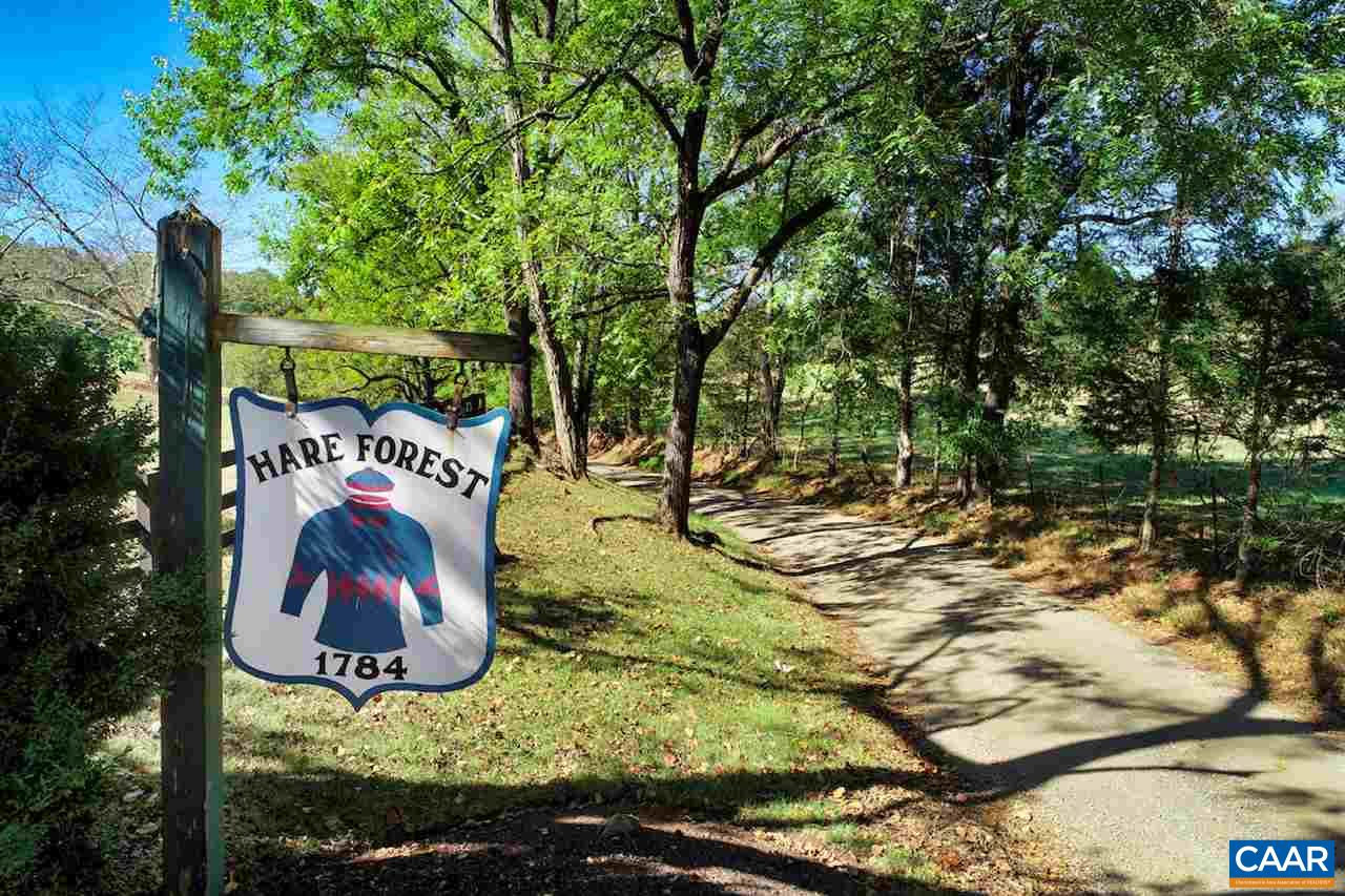8386 HARE FOREST LN, ORANGE, Virginia 22960, 4 Bedrooms Bedrooms, ,3 BathroomsBathrooms,Residential,Hare Forest,8386 HARE FOREST LN,681864 MLS # 681864