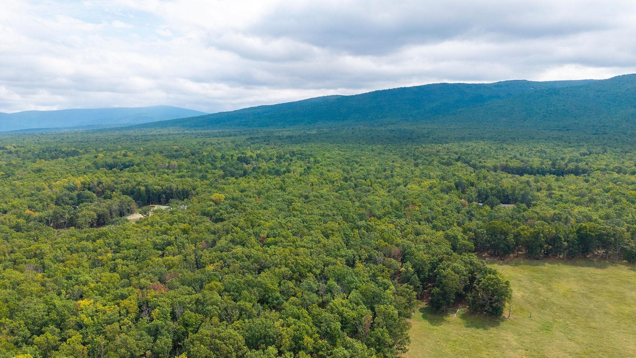 47.8 Acres HORSESHOE CIR, STUARTS DRAFT, Virginia 24477, ,Land,47.8 Acres HORSESHOE CIR,681885 MLS # 681885