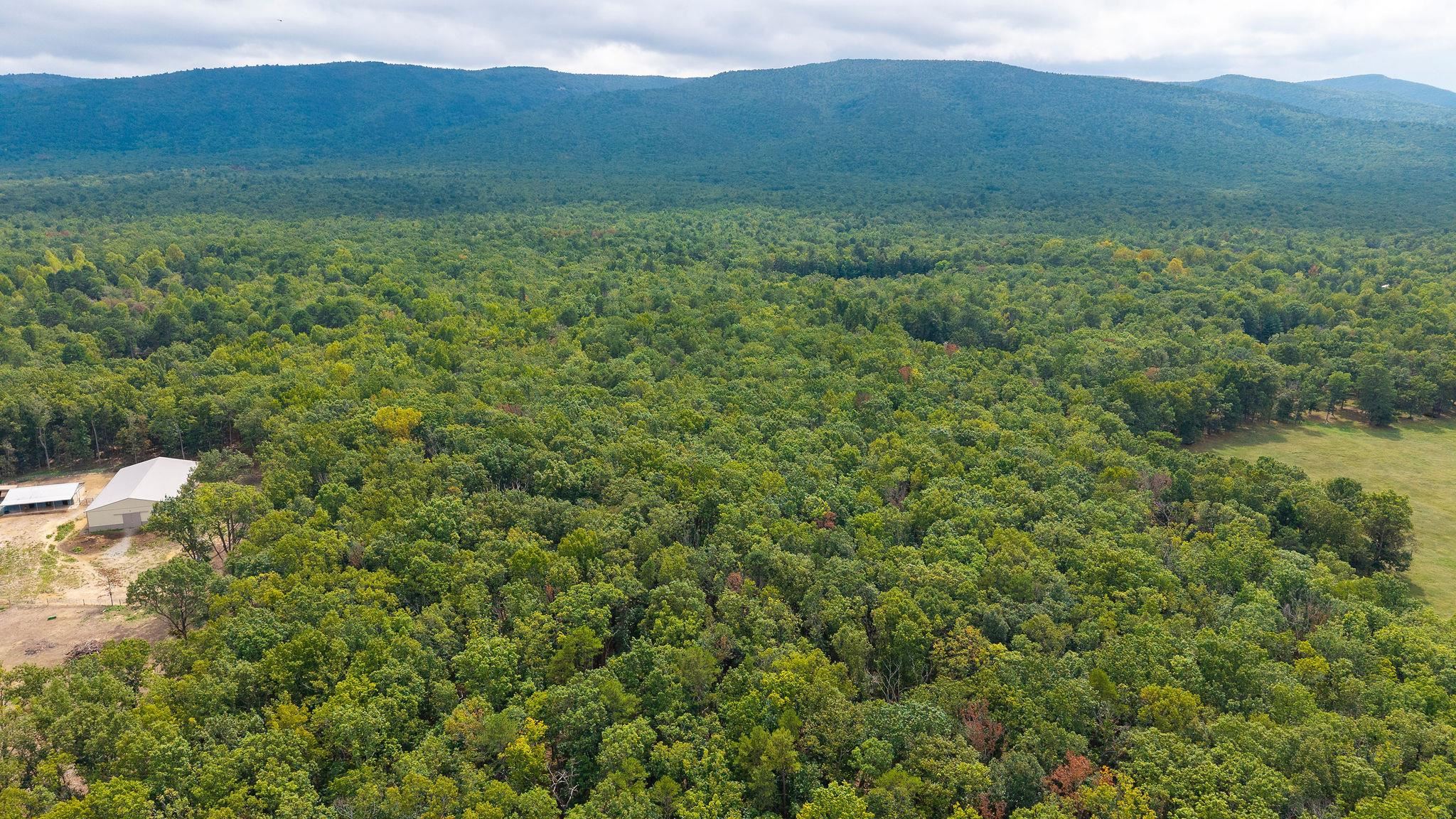 47.8 Acres HORSESHOE CIR, STUARTS DRAFT, Virginia 24477, ,Land,47.8 Acres HORSESHOE CIR,681885 MLS # 681885