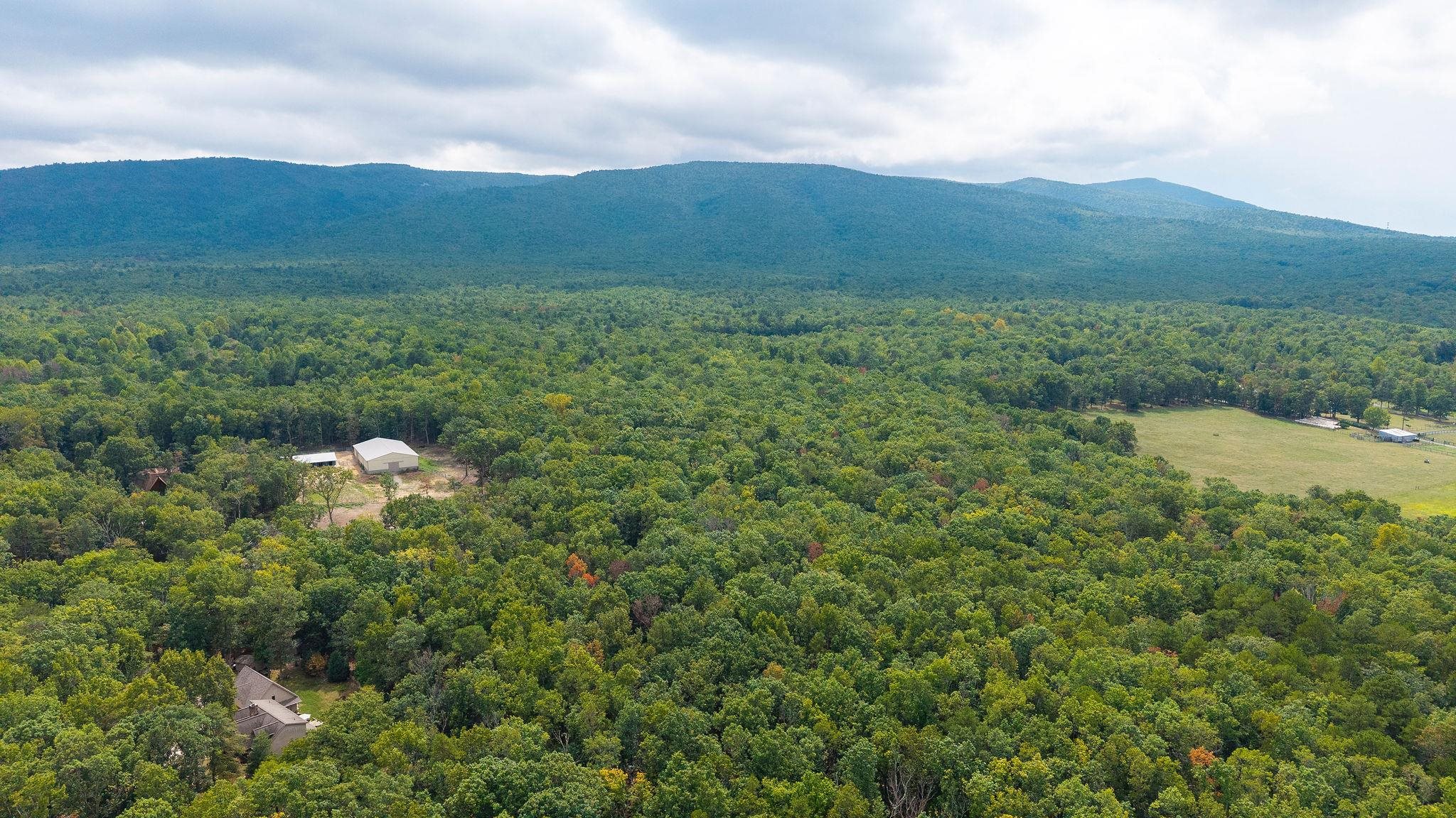 47.8 Acres HORSESHOE CIR, STUARTS DRAFT, Virginia 24477, ,Land,47.8 Acres HORSESHOE CIR,681885 MLS # 681885