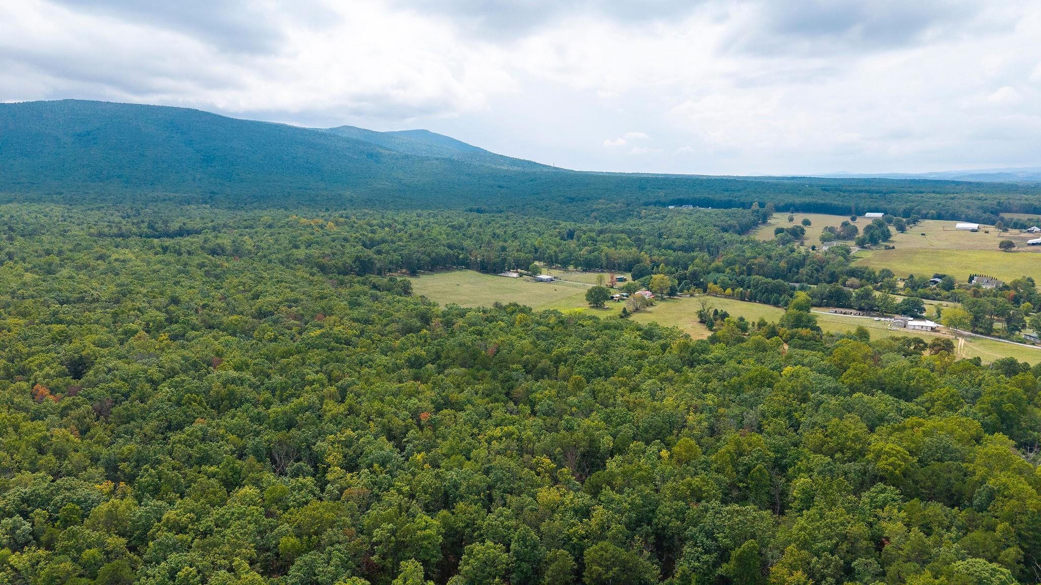 47.8 Acres HORSESHOE CIR, STUARTS DRAFT, Virginia 24477, ,Land,47.8 Acres HORSESHOE CIR,681885 MLS # 681885