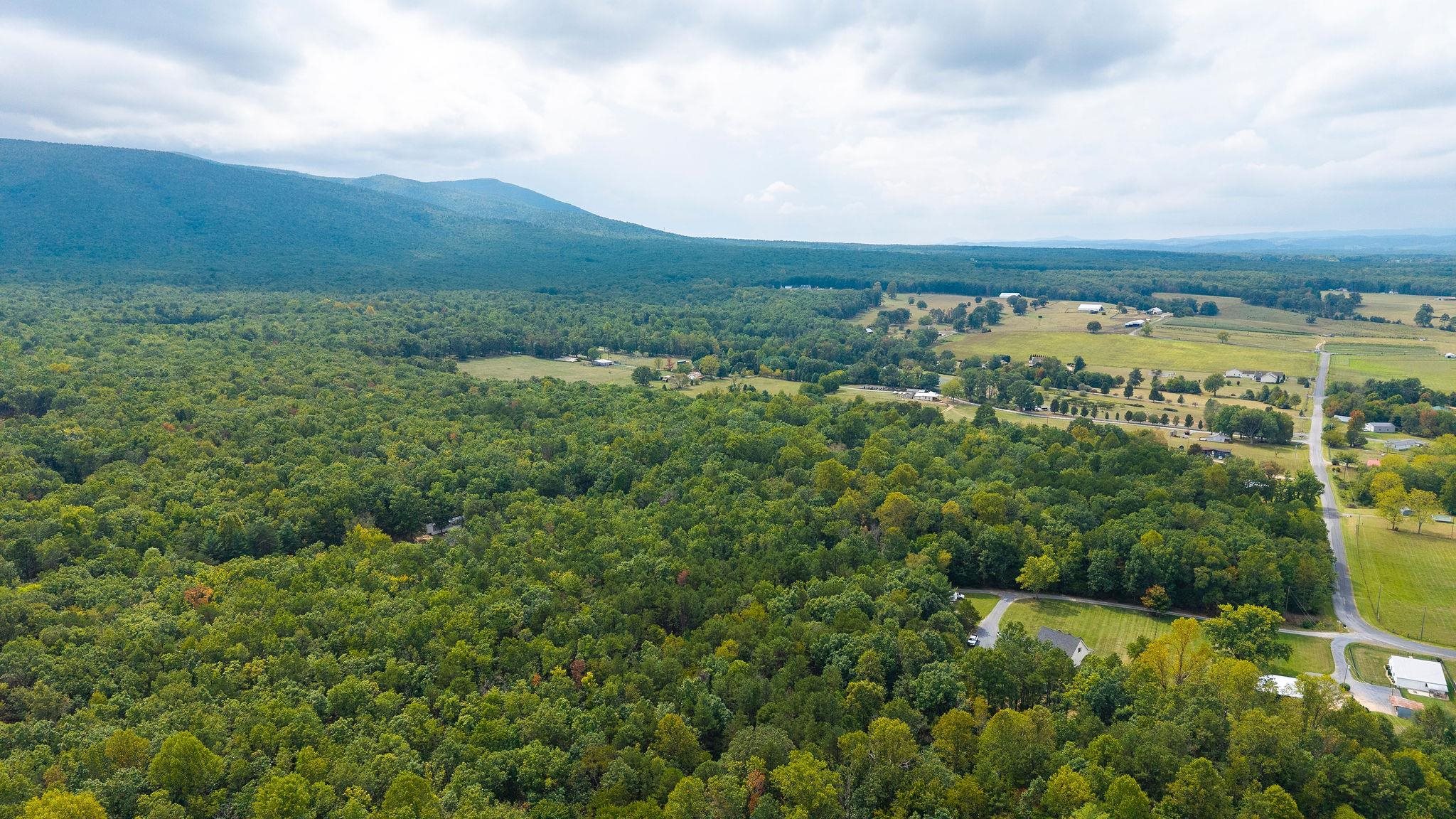 47.8 Acres HORSESHOE CIR, STUARTS DRAFT, Virginia 24477, ,Land,47.8 Acres HORSESHOE CIR,681885 MLS # 681885
