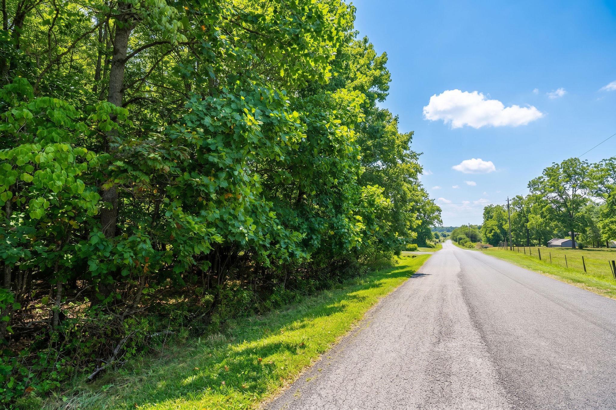 47.8 Acres HORSESHOE CIR, STUARTS DRAFT, Virginia 24477, ,Land,47.8 Acres HORSESHOE CIR,681885 MLS # 681885