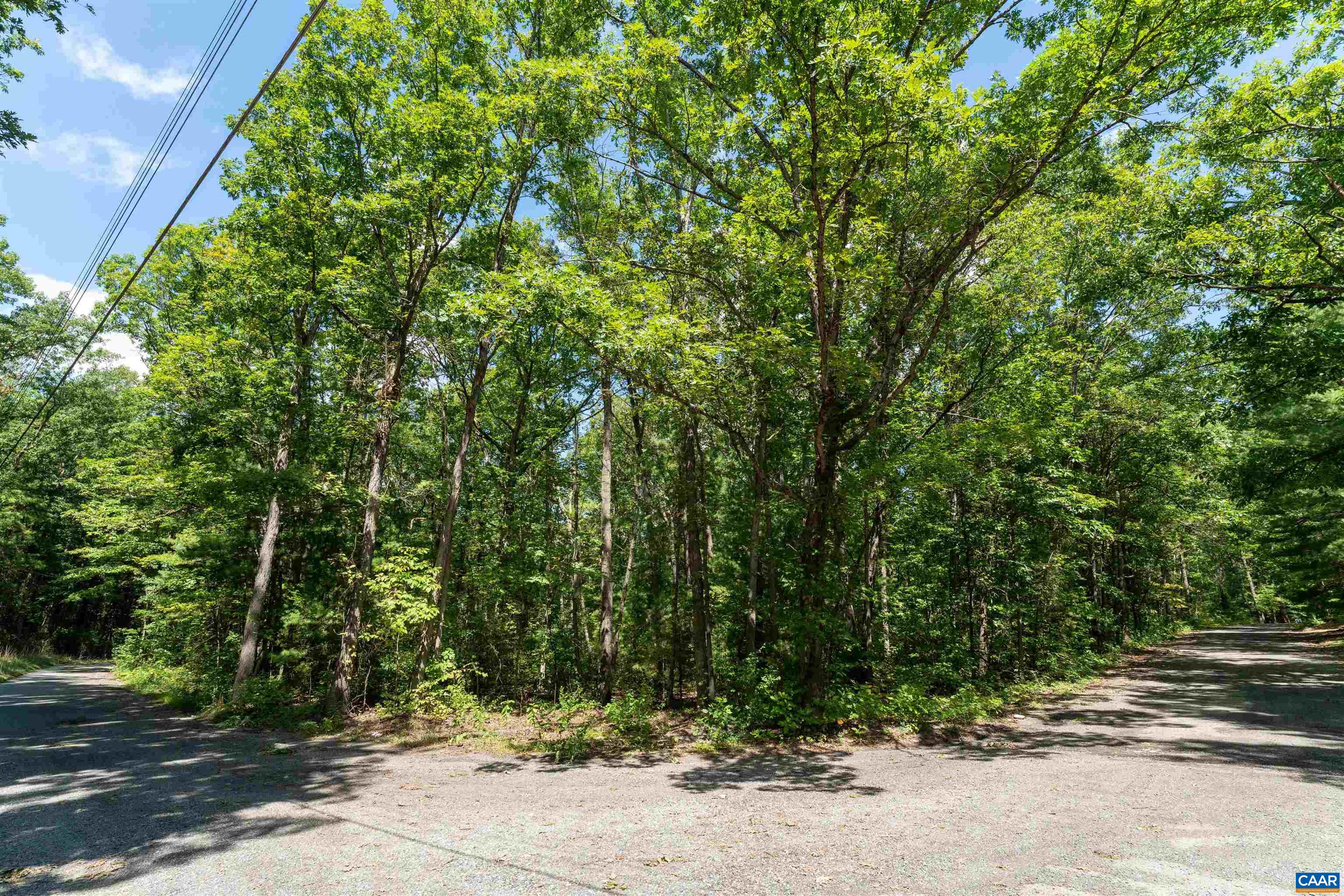 TBD QUAIL TRL, GREENVILLE, Virginia 24440, ,Land,TBD QUAIL TRL,681899 MLS # 681899