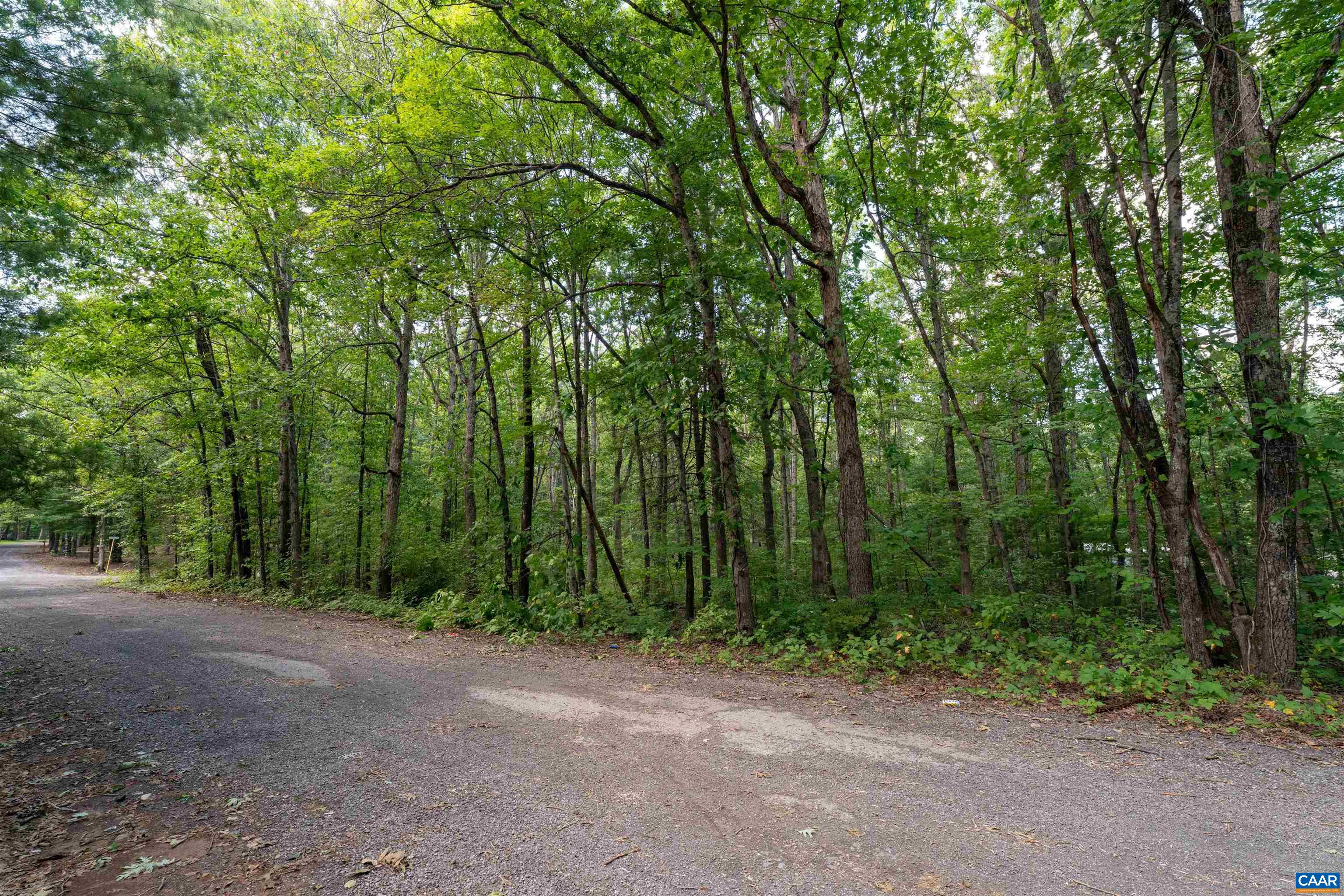 TBD QUAIL TRL, GREENVILLE, Virginia 24440, ,Land,TBD QUAIL TRL,681899 MLS # 681899