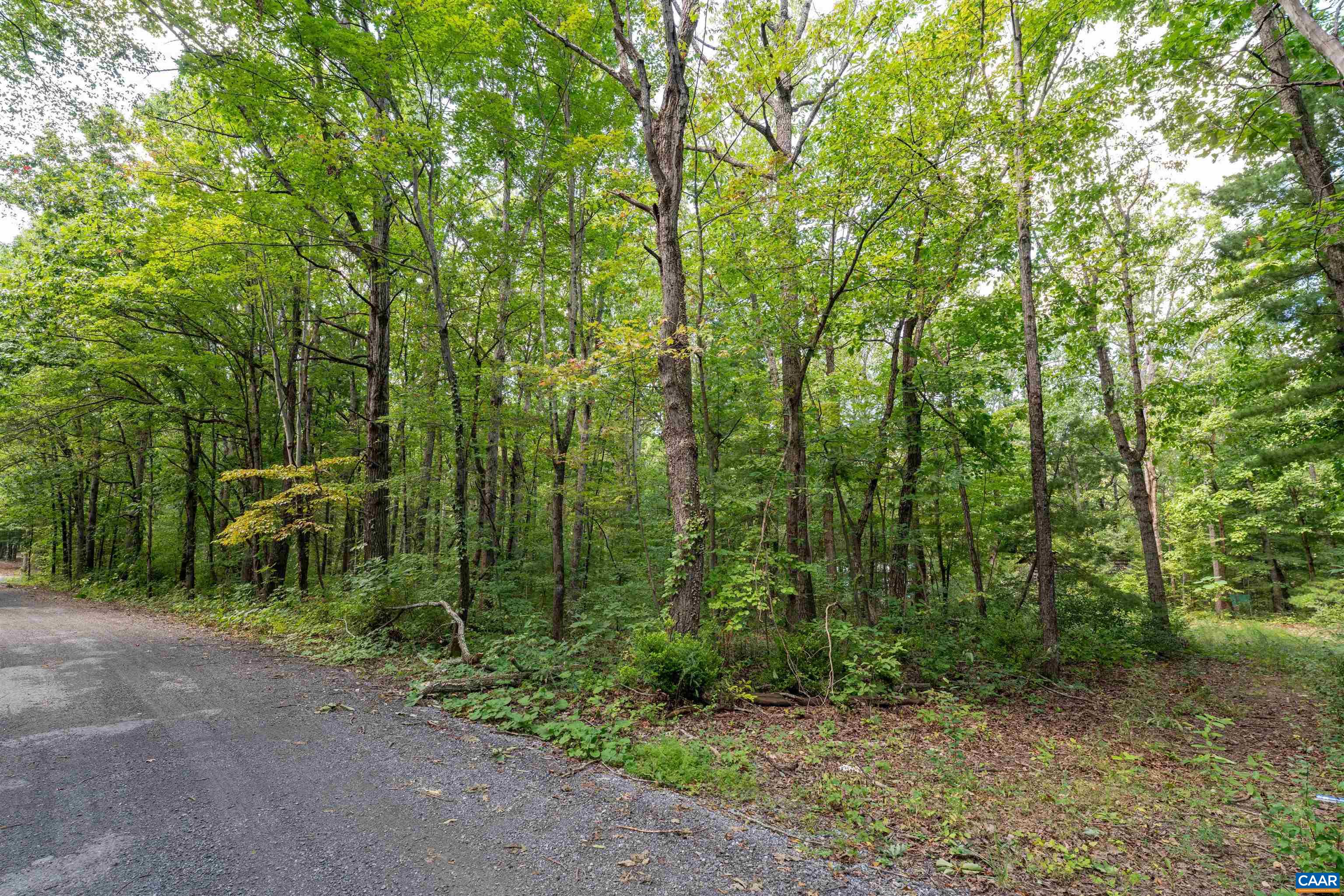 103 QUAIL TRL, GREENVILLE, Virginia 24440, ,Land,103 QUAIL TRL,681901 MLS # 681901 103 QUAIL TRL, GREENVILLE, Virginia 24440, ,Land,103 QUAIL TRL,681901 MLS # 681901