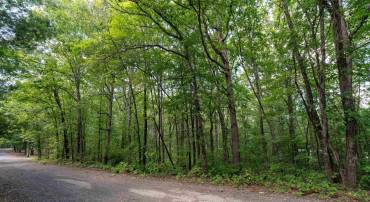 103 QUAIL TRL, GREENVILLE, Virginia 24440, ,Land,103 QUAIL TRL,681901 MLS # 681901