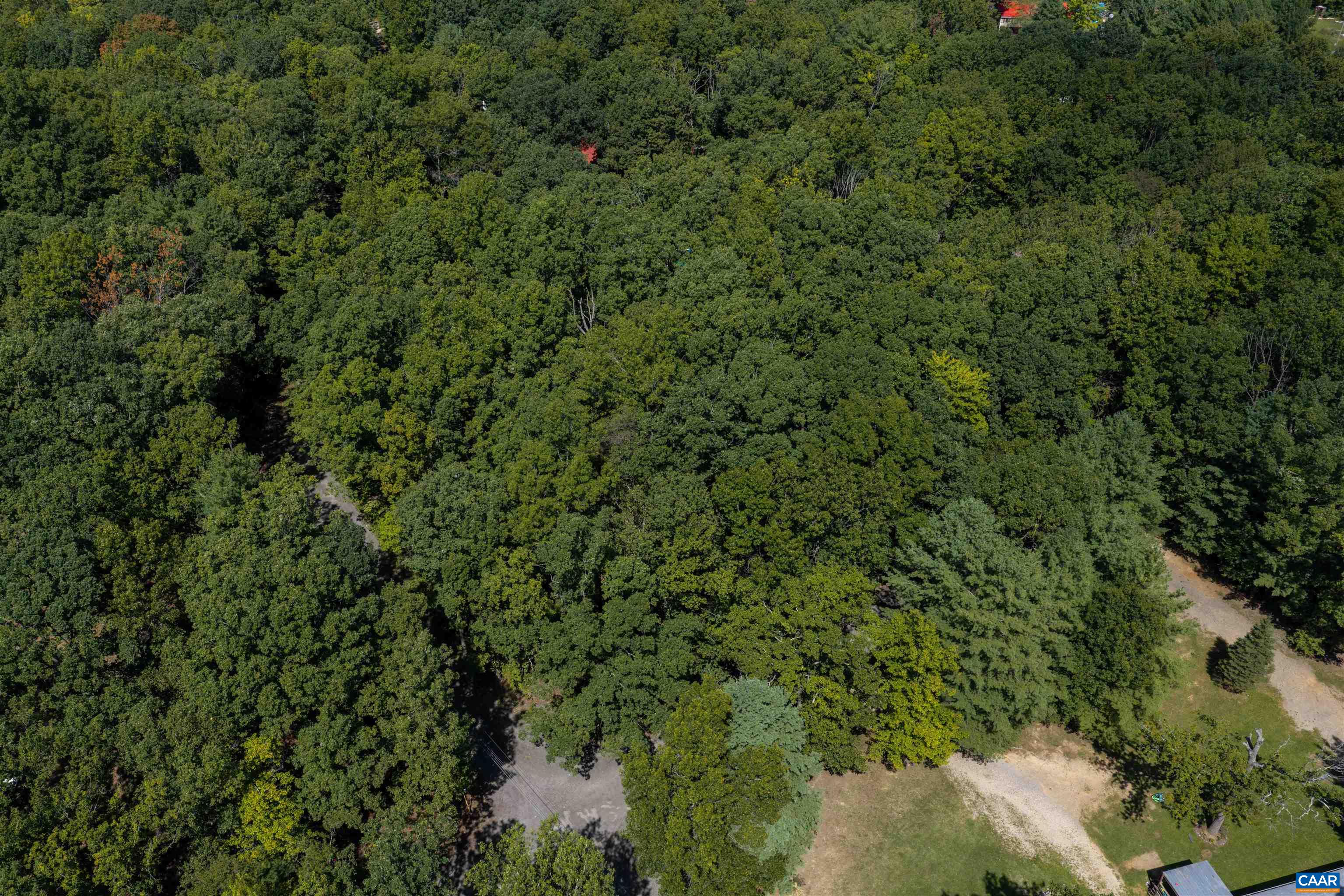 000 QUAIL TRL, GREENVILLE, Virginia 24440, ,Land,000 QUAIL TRL,681902 MLS # 681902 000 QUAIL TRL, GREENVILLE, Virginia 24440, ,Land,000 QUAIL TRL,681902 MLS # 681902