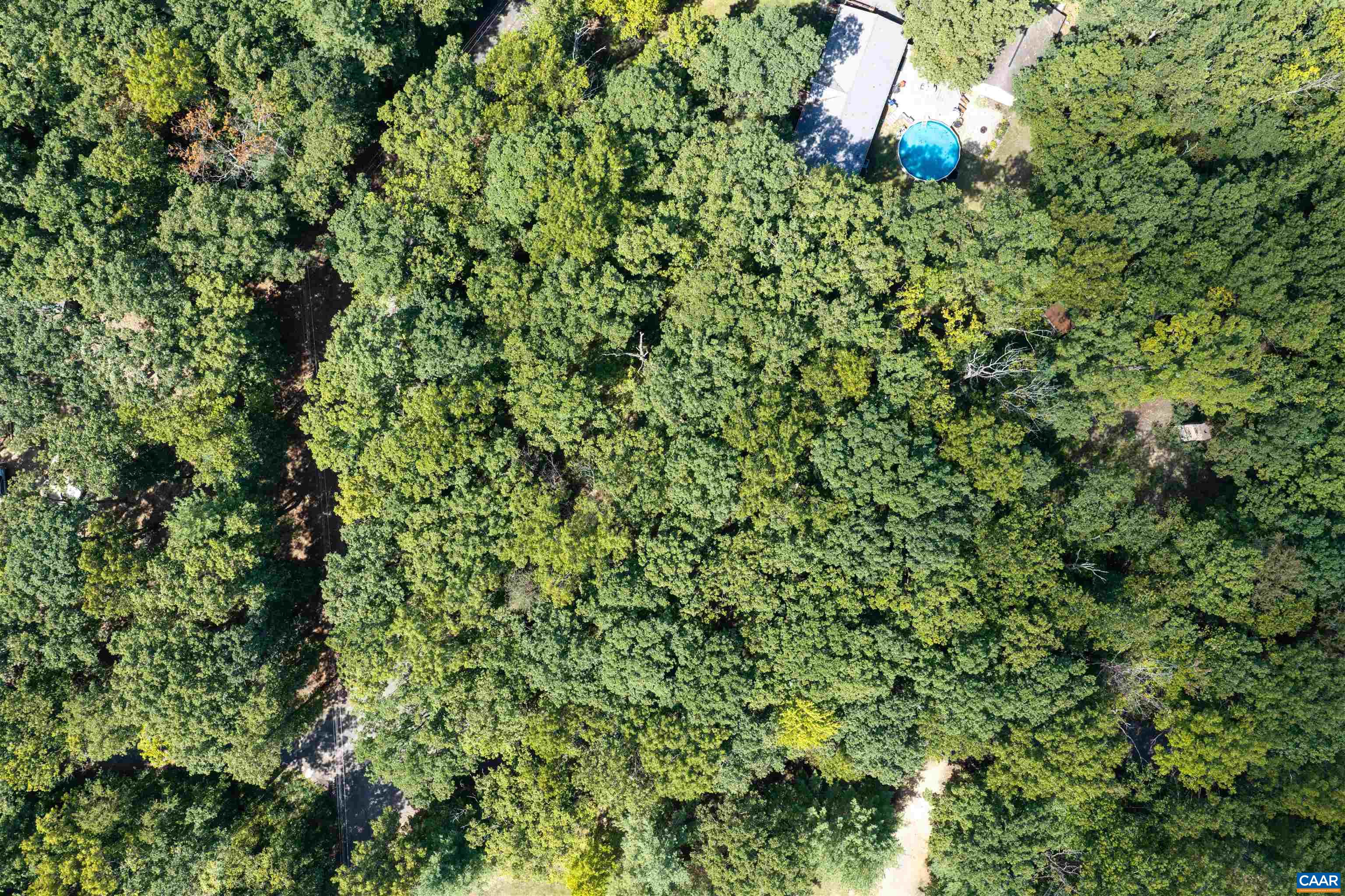000 QUAIL TRL, GREENVILLE, Virginia 24440, ,Land,000 QUAIL TRL,681902 MLS # 681902 000 QUAIL TRL, GREENVILLE, Virginia 24440, ,Land,000 QUAIL TRL,681902 MLS # 681902
