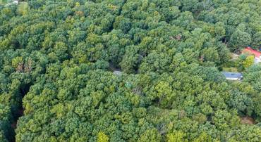 000 QUAIL TRL, GREENVILLE, Virginia 24440, ,Land,000 QUAIL TRL,681902 MLS # 681902