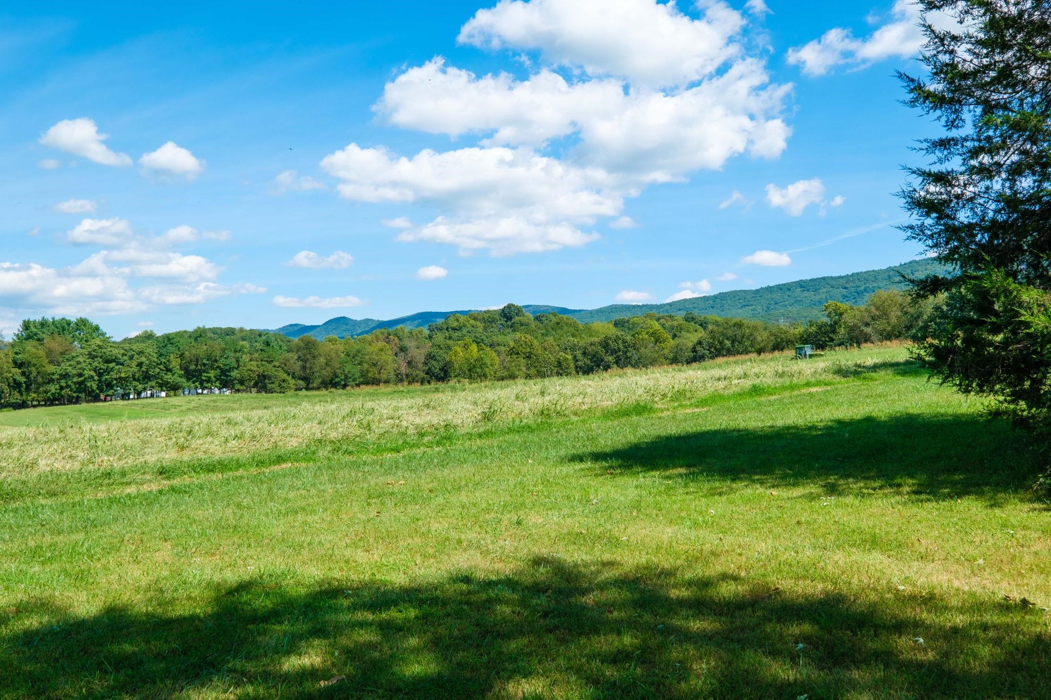 7406 MOUNTAIN VALLEY RD, KEEZLETOWN, Virginia 22832, 3 Bedrooms Bedrooms, ,1 BathroomBathrooms,Residential,7406 MOUNTAIN VALLEY RD,681889 MLS # 681889 7406 MOUNTAIN VALLEY RD, KEEZLETOWN, Virginia 22832, 3 Bedrooms Bedrooms, ,1 BathroomBathrooms,Residential,7406 MOUNTAIN VALLEY RD,681889 MLS # 681889