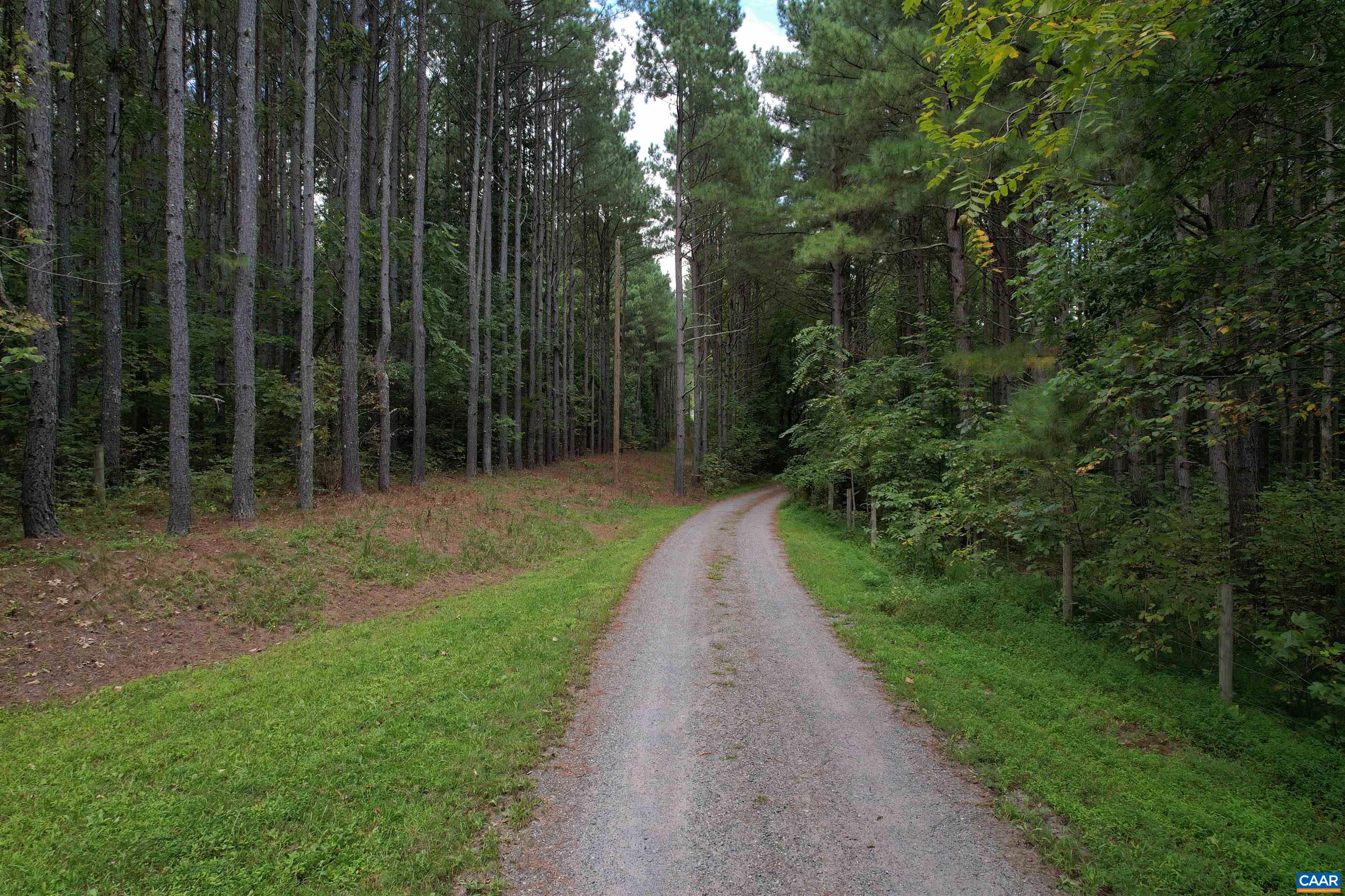 HOLLOWBACK LN, MADISON, Virginia 22727, ,Land,HOLLOWBACK LN,681904 MLS # 681904