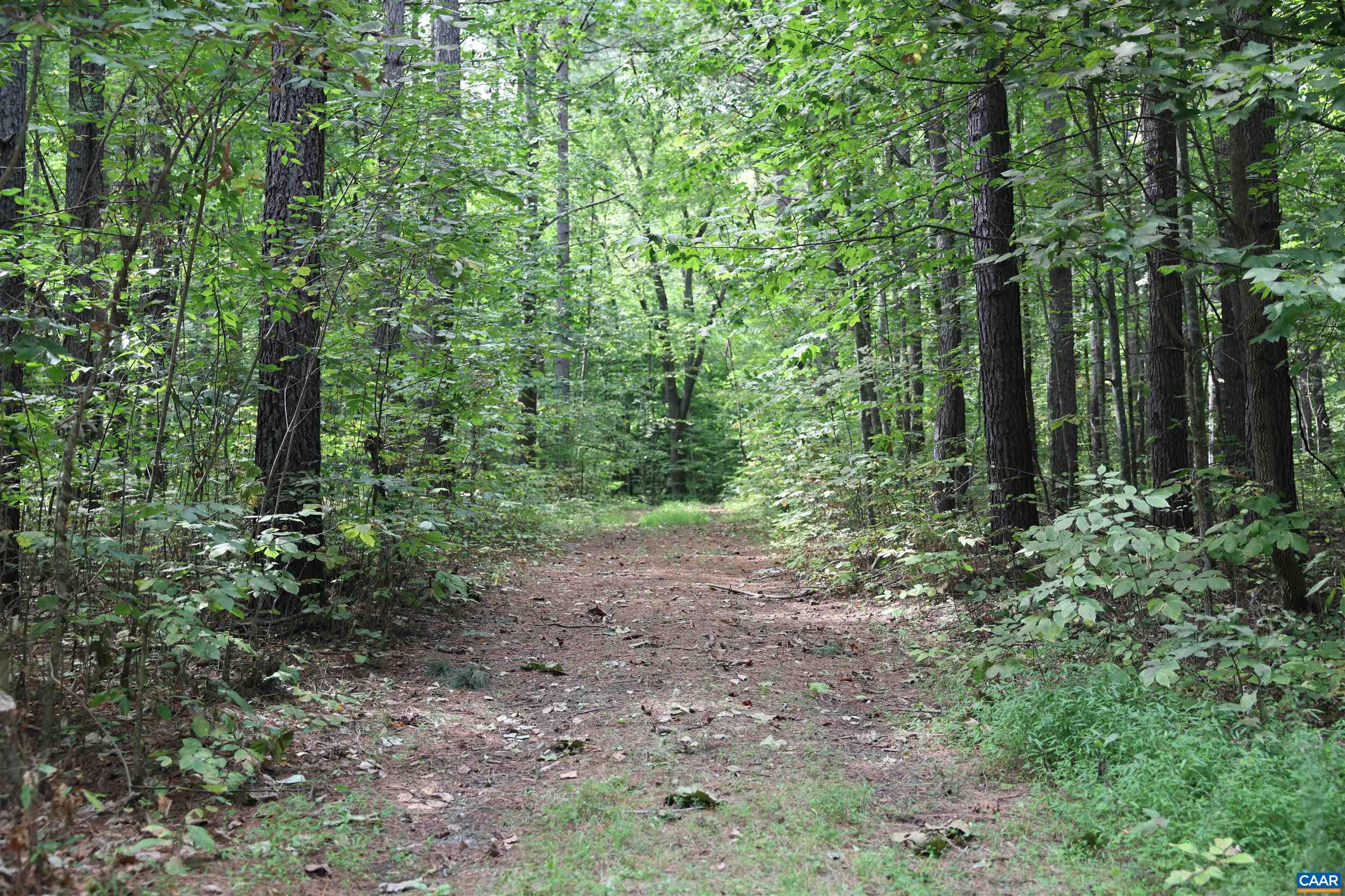 HOLLOWBACK LN, MADISON, Virginia 22727, ,Land,HOLLOWBACK LN,681904 MLS # 681904
