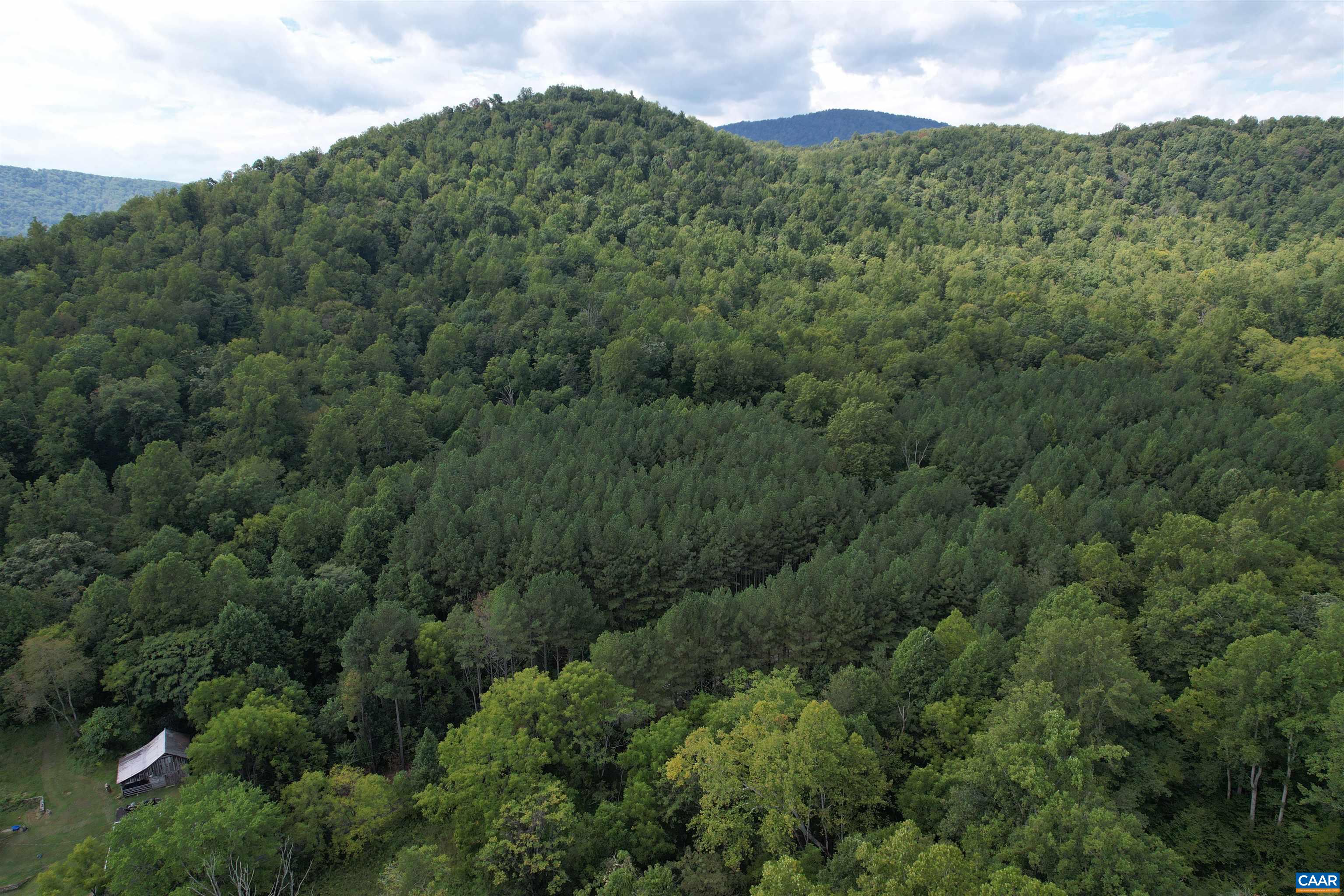 HOLLOWBACK LN, MADISON, Virginia 22727, ,Land,HOLLOWBACK LN,681904 MLS # 681904