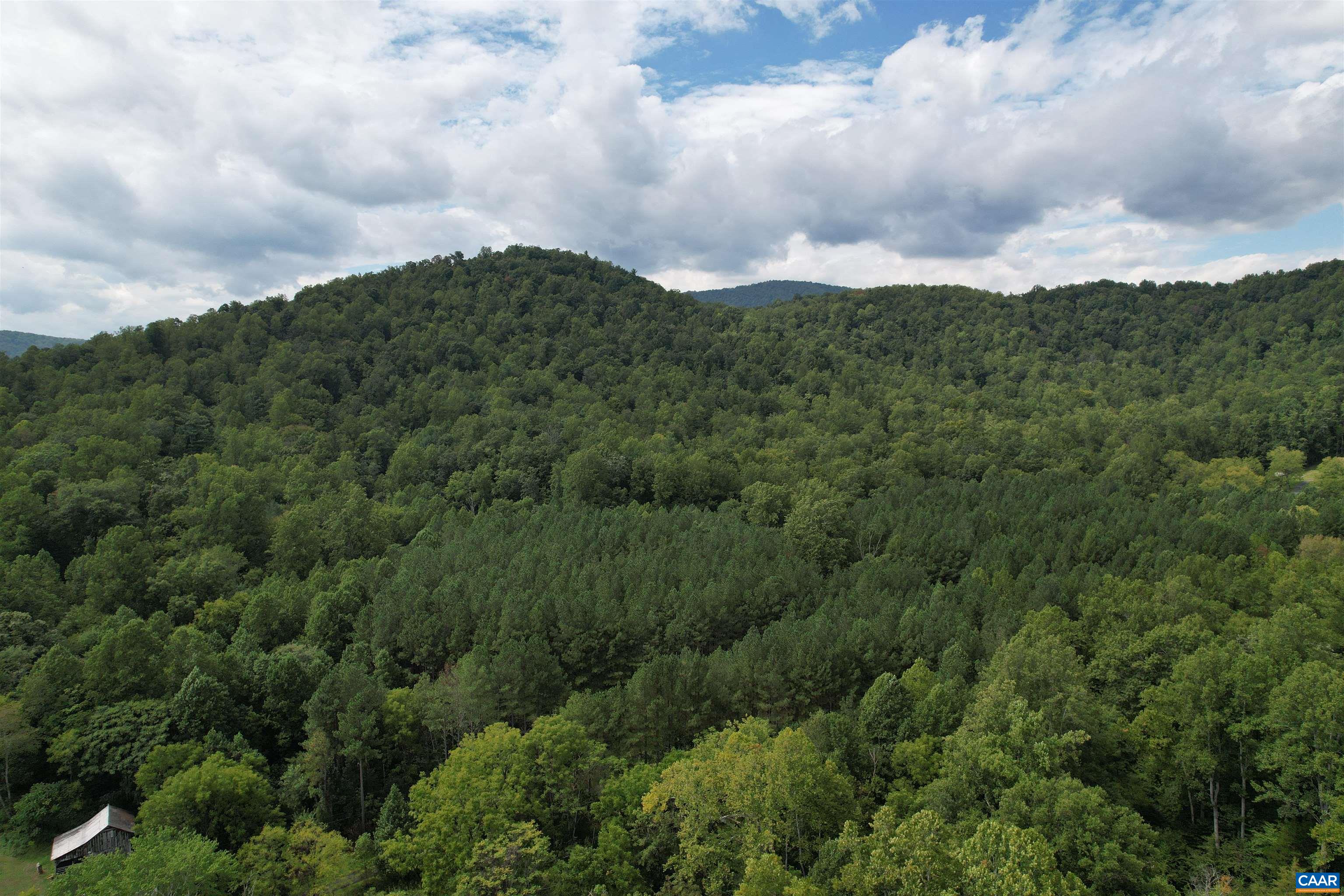 HOLLOWBACK LN, MADISON, Virginia 22727, ,Land,HOLLOWBACK LN,681904 MLS # 681904