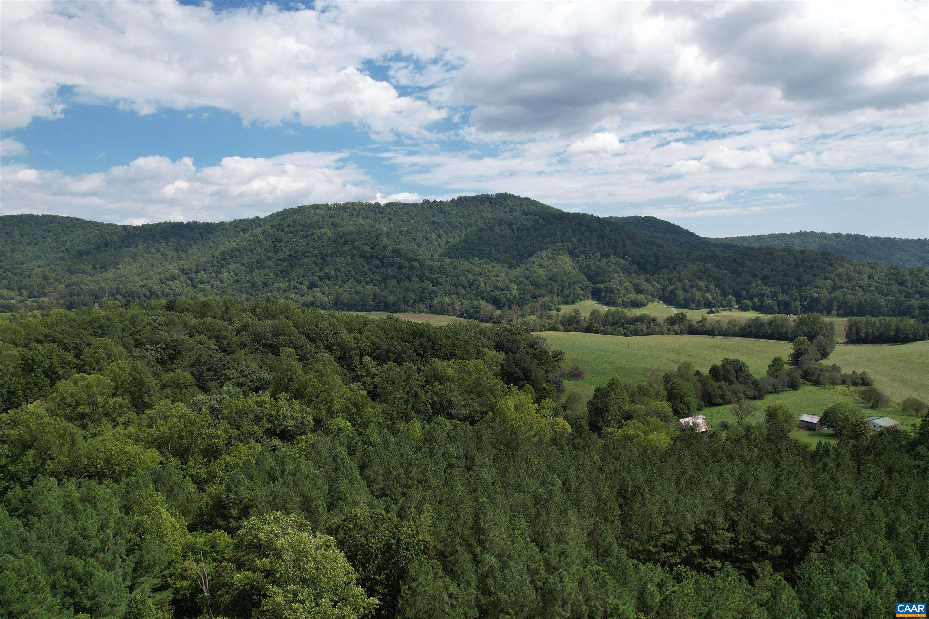 HOLLOWBACK LN, MADISON, Virginia 22727, ,Land,HOLLOWBACK LN,681904 MLS # 681904
