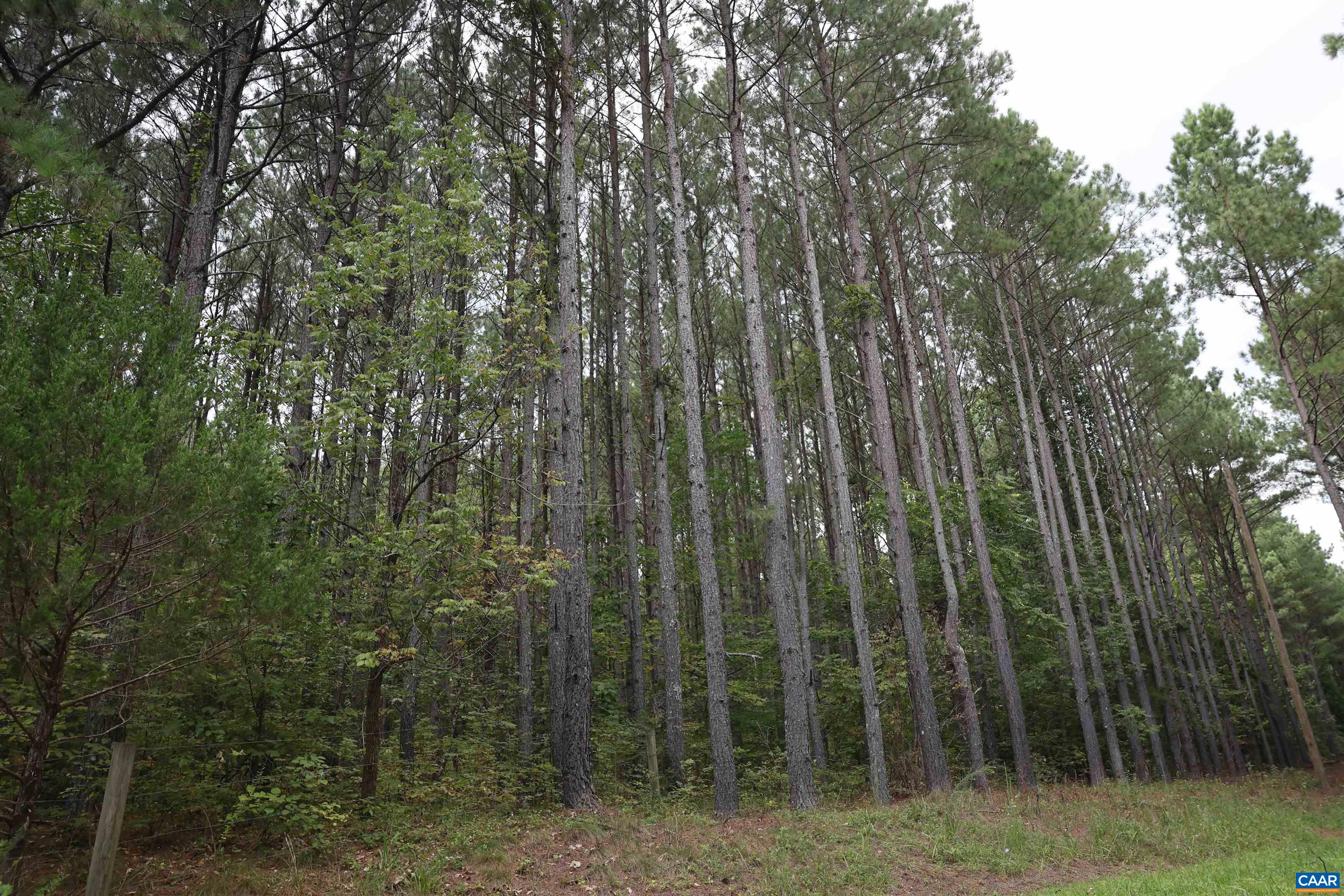HOLLOWBACK LN, MADISON, Virginia 22727, ,Land,HOLLOWBACK LN,681904 MLS # 681904