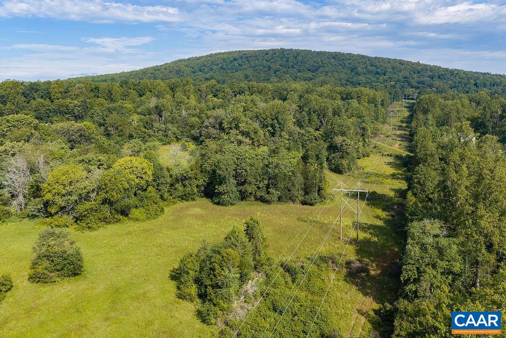 0 SPOTSWOOD TRL, GORDONSVILLE, Virginia 22942, ,Farm,0 SPOTSWOOD TRL,681916 MLS # 681916 0 SPOTSWOOD TRL, GORDONSVILLE, Virginia 22942, ,Farm,0 SPOTSWOOD TRL,681916 MLS # 681916