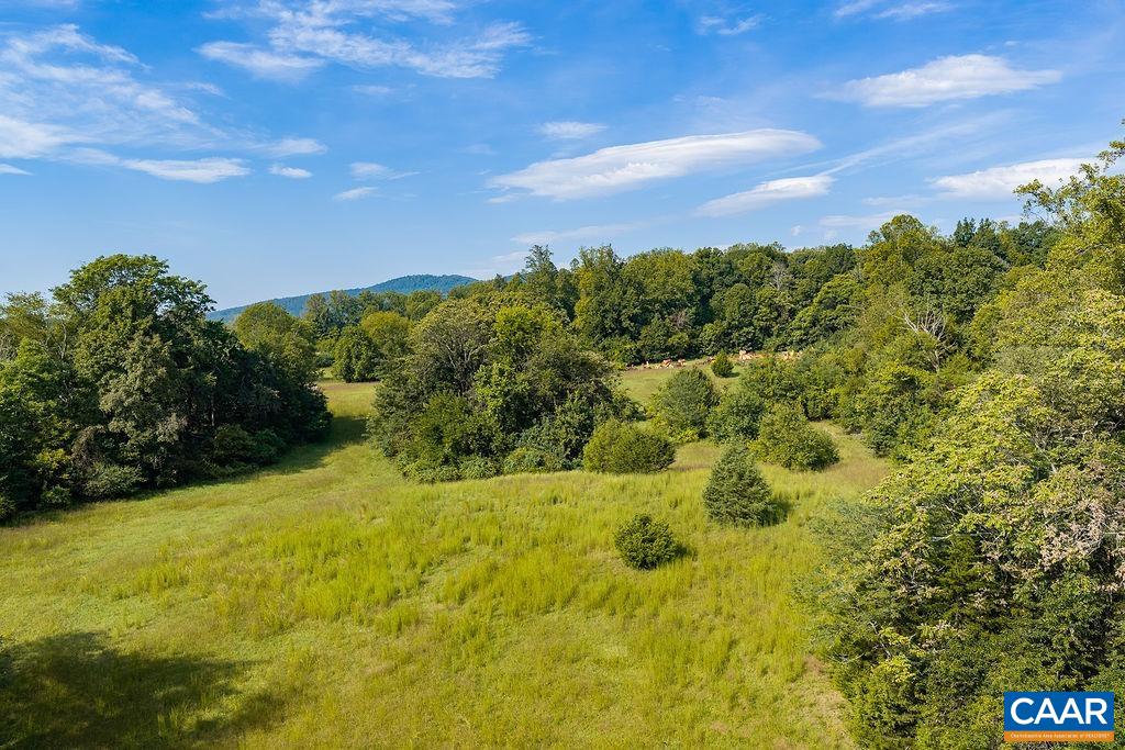0 SPOTSWOOD TRL, GORDONSVILLE, Virginia 22942, ,Farm,0 SPOTSWOOD TRL,681916 MLS # 681916 0 SPOTSWOOD TRL, GORDONSVILLE, Virginia 22942, ,Farm,0 SPOTSWOOD TRL,681916 MLS # 681916