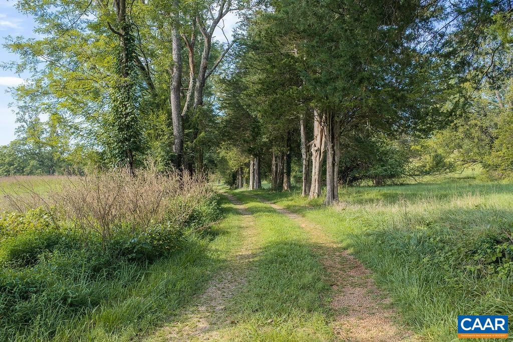 0 SPOTSWOOD TRL, GORDONSVILLE, Virginia 22942, ,Farm,0 SPOTSWOOD TRL,681916 MLS # 681916 0 SPOTSWOOD TRL, GORDONSVILLE, Virginia 22942, ,Farm,0 SPOTSWOOD TRL,681916 MLS # 681916