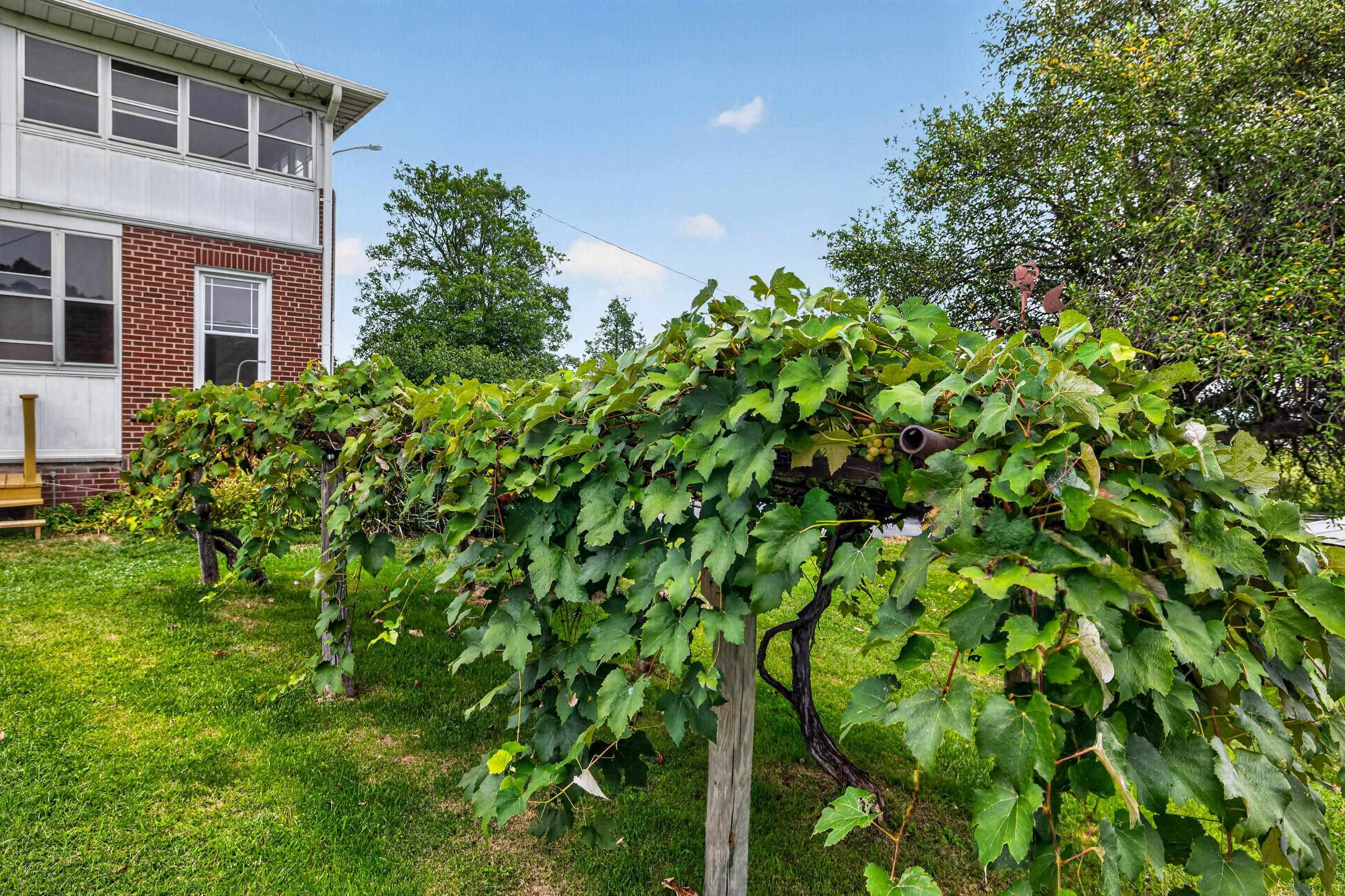 4625 RAWLEY PIKE, ROCKINGHAM, Virginia 22801, 4 Bedrooms Bedrooms, ,1 BathroomBathrooms,Residential,4625 RAWLEY PIKE,681924 MLS # 681924 4625 RAWLEY PIKE, ROCKINGHAM, Virginia 22801, 4 Bedrooms Bedrooms, ,1 BathroomBathrooms,Residential,4625 RAWLEY PIKE,681924 MLS # 681924