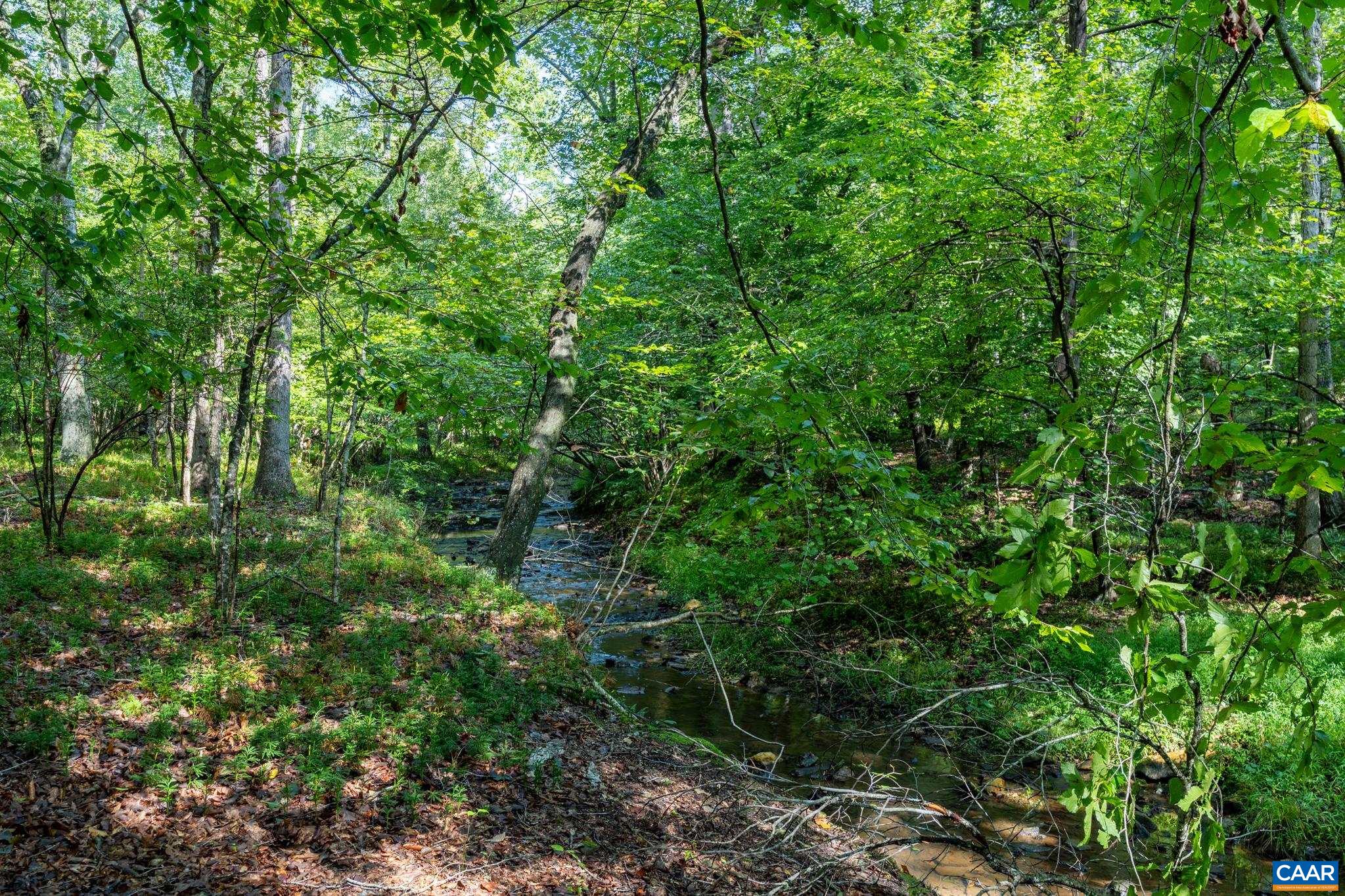 2155 QUAIL RUN LN, BARBOURSVILLE, Virginia 22923, 4 Bedrooms Bedrooms, ,4 BathroomsBathrooms,Residential,2155 QUAIL RUN LN,681742 MLS # 681742 2155 QUAIL RUN LN, BARBOURSVILLE, Virginia 22923, 4 Bedrooms Bedrooms, ,4 BathroomsBathrooms,Residential,2155 QUAIL RUN LN,681742 MLS # 681742