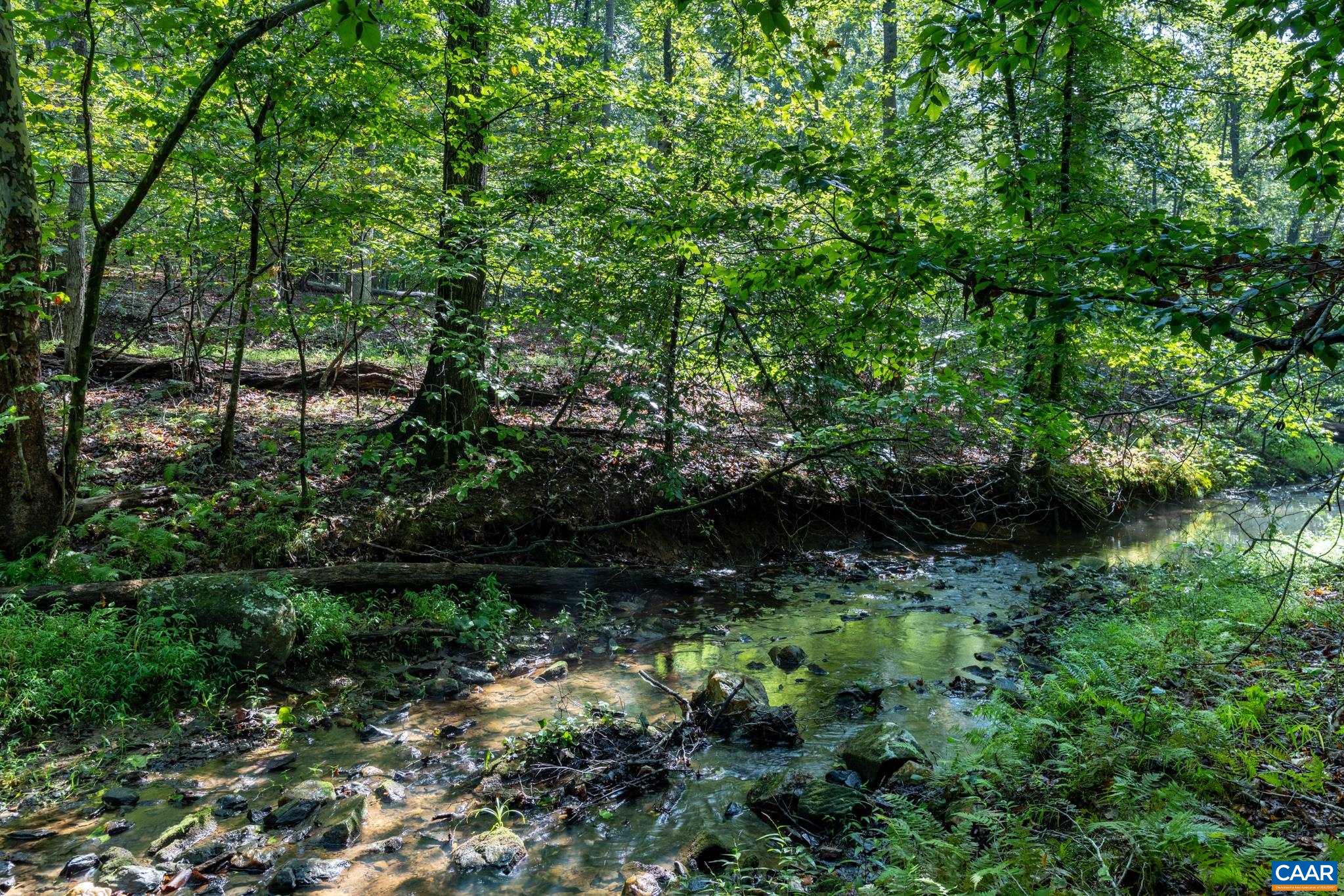 2155 QUAIL RUN LN, BARBOURSVILLE, Virginia 22923, 4 Bedrooms Bedrooms, ,4 BathroomsBathrooms,Residential,2155 QUAIL RUN LN,681742 MLS # 681742 2155 QUAIL RUN LN, BARBOURSVILLE, Virginia 22923, 4 Bedrooms Bedrooms, ,4 BathroomsBathrooms,Residential,2155 QUAIL RUN LN,681742 MLS # 681742
