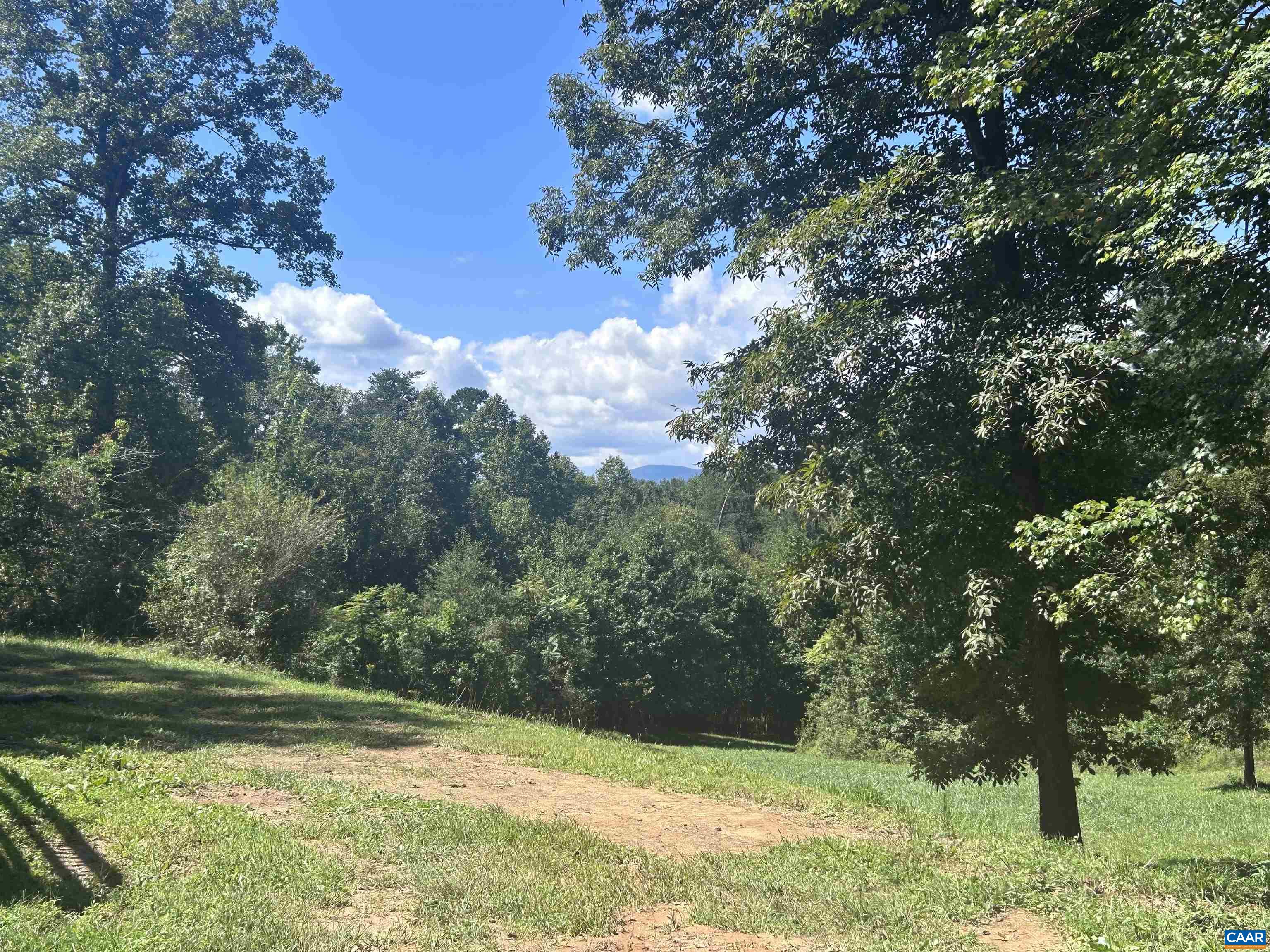 301 DULANEY MOUNTAIN RD, MADISON, Virginia 22727, 3 Bedrooms Bedrooms, ,2 BathroomsBathrooms,Residential,301 DULANEY MOUNTAIN RD,681856 MLS # 681856 301 DULANEY MOUNTAIN RD, MADISON, Virginia 22727, 3 Bedrooms Bedrooms, ,2 BathroomsBathrooms,Residential,301 DULANEY MOUNTAIN RD,681856 MLS # 681856