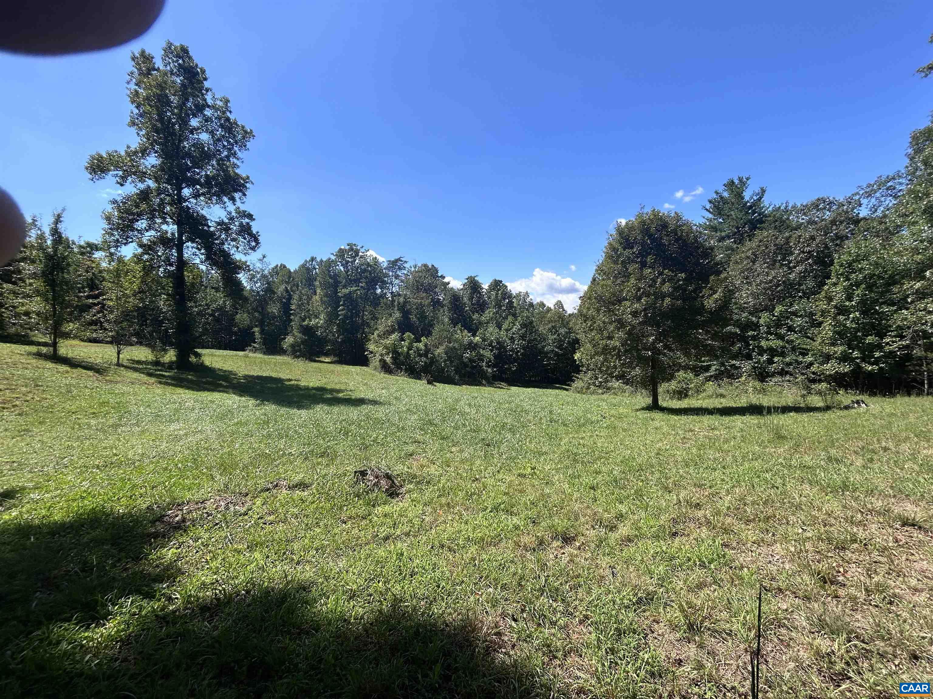 301 DULANEY MOUNTAIN RD, MADISON, Virginia 22727, 3 Bedrooms Bedrooms, ,2 BathroomsBathrooms,Residential,301 DULANEY MOUNTAIN RD,681856 MLS # 681856 301 DULANEY MOUNTAIN RD, MADISON, Virginia 22727, 3 Bedrooms Bedrooms, ,2 BathroomsBathrooms,Residential,301 DULANEY MOUNTAIN RD,681856 MLS # 681856