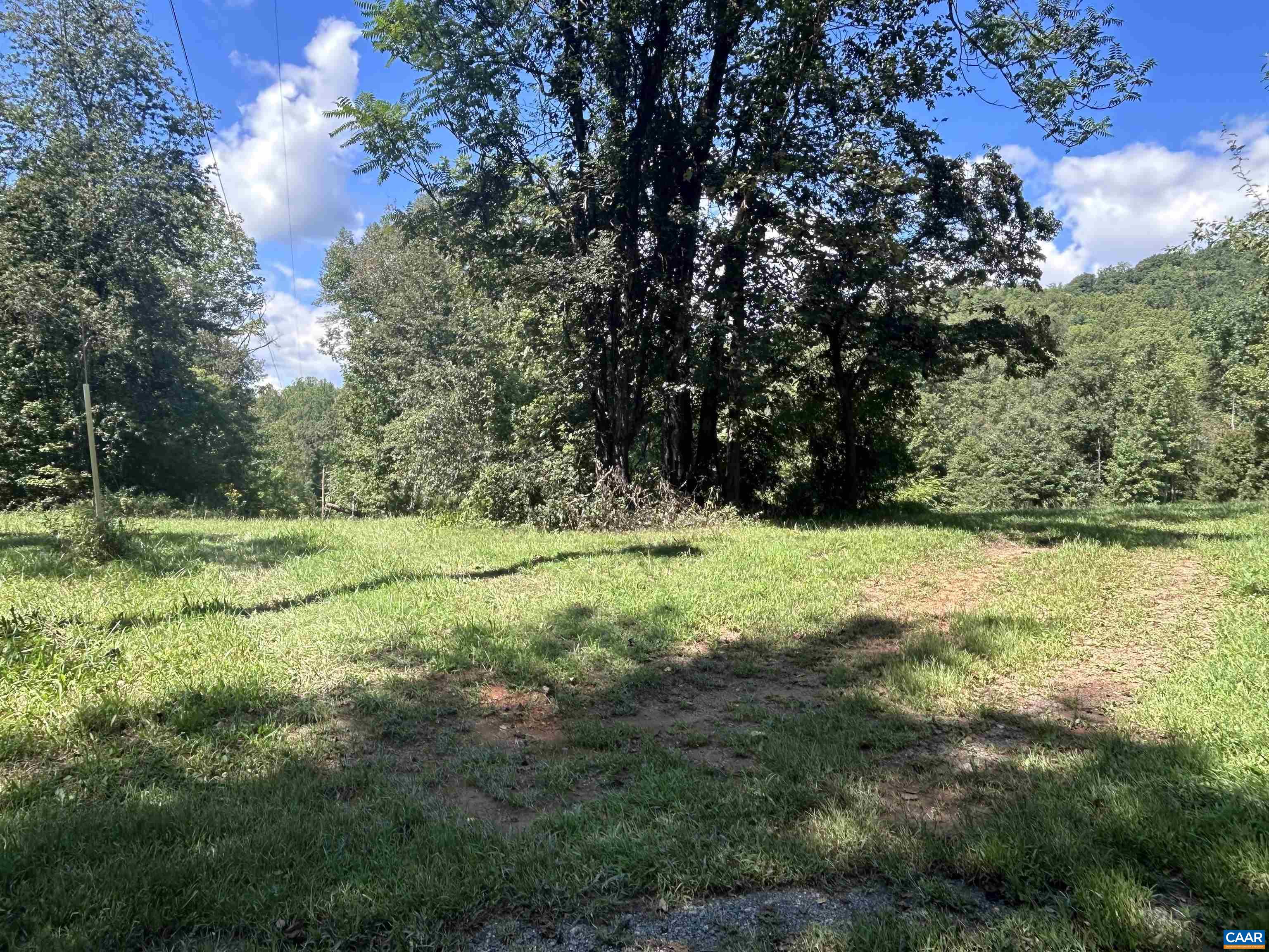 301 DULANEY MOUNTAIN RD, MADISON, Virginia 22727, 3 Bedrooms Bedrooms, ,2 BathroomsBathrooms,Residential,301 DULANEY MOUNTAIN RD,681856 MLS # 681856 301 DULANEY MOUNTAIN RD, MADISON, Virginia 22727, 3 Bedrooms Bedrooms, ,2 BathroomsBathrooms,Residential,301 DULANEY MOUNTAIN RD,681856 MLS # 681856