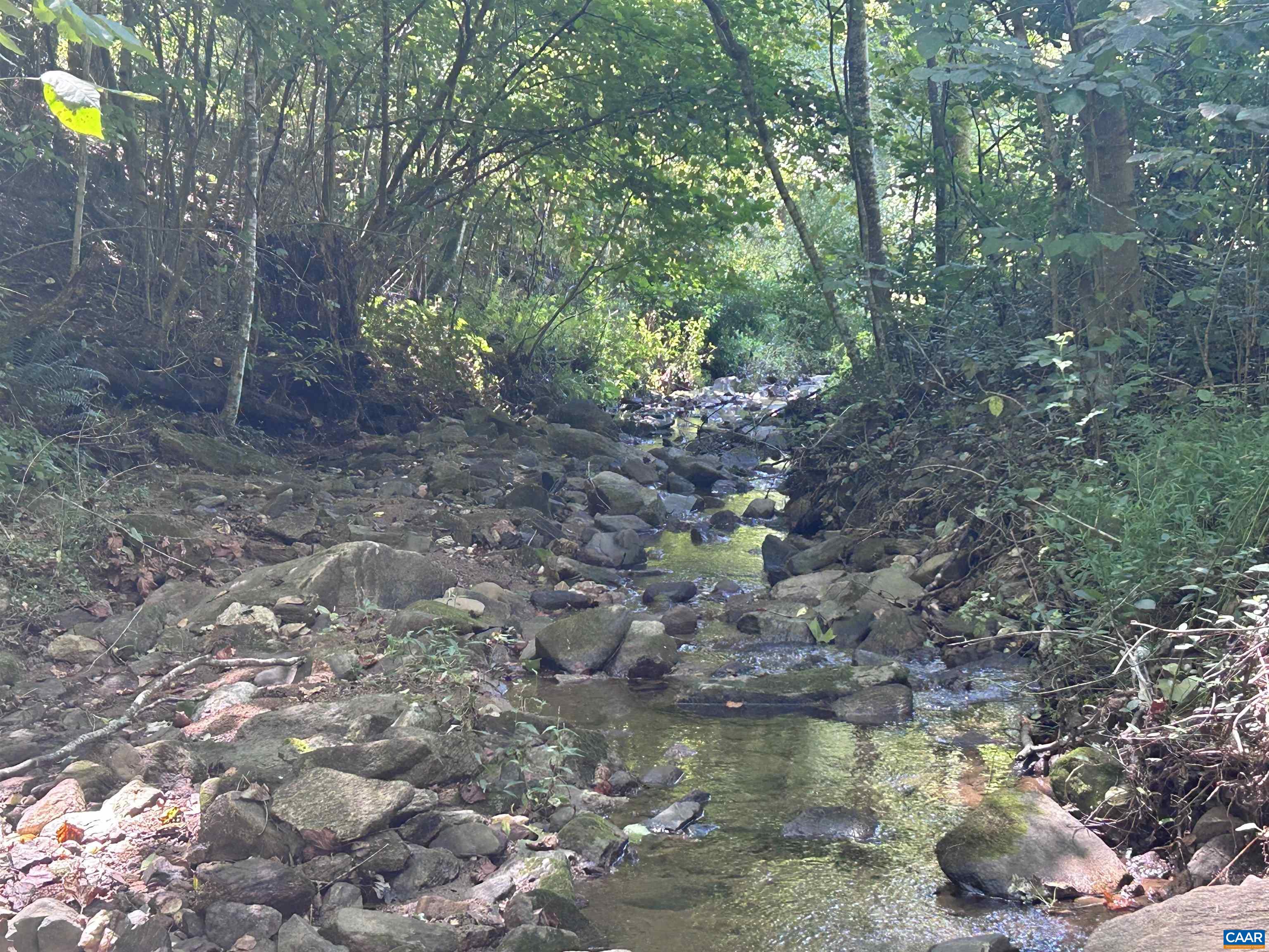 301 DULANEY MOUNTAIN RD, MADISON, Virginia 22727, 3 Bedrooms Bedrooms, ,2 BathroomsBathrooms,Residential,301 DULANEY MOUNTAIN RD,681856 MLS # 681856 301 DULANEY MOUNTAIN RD, MADISON, Virginia 22727, 3 Bedrooms Bedrooms, ,2 BathroomsBathrooms,Residential,301 DULANEY MOUNTAIN RD,681856 MLS # 681856